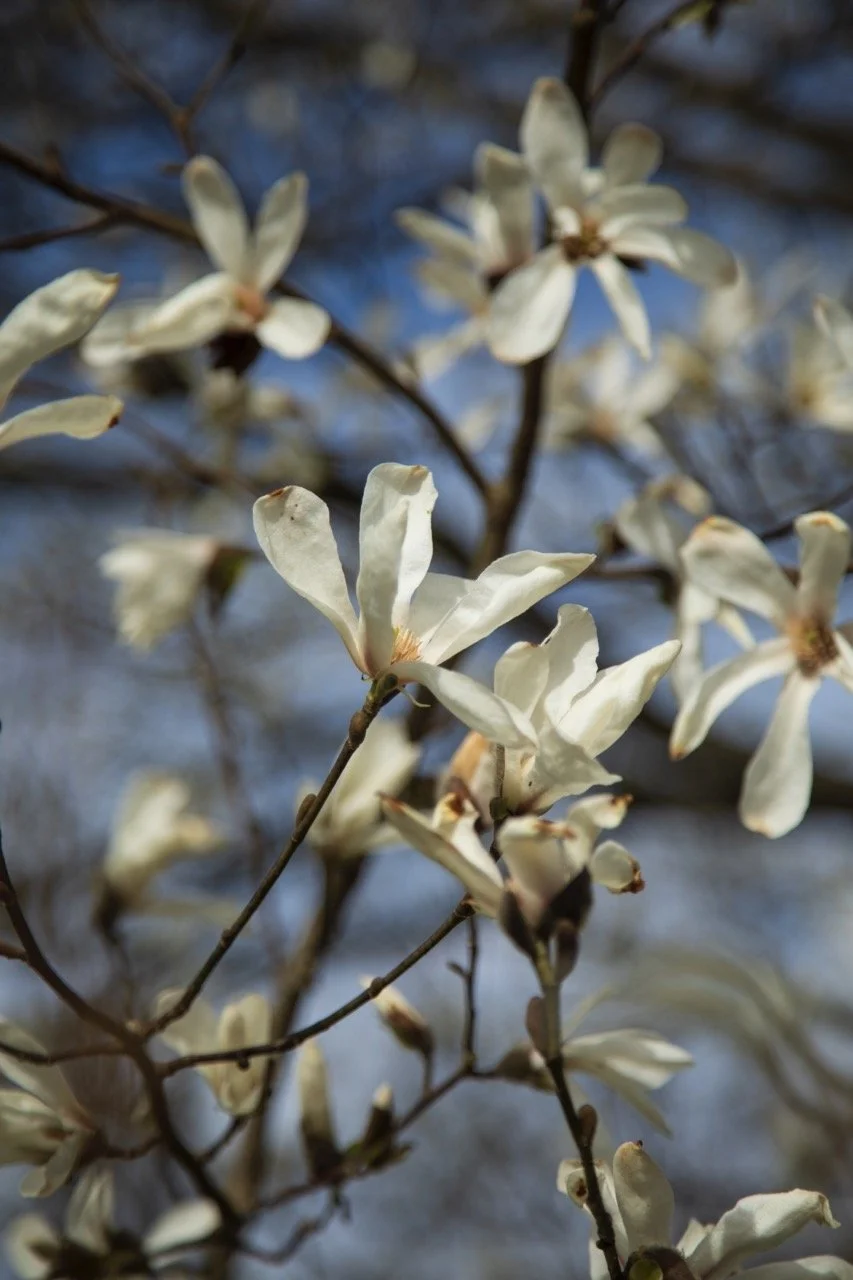 _09A0024 Grande.jpeg