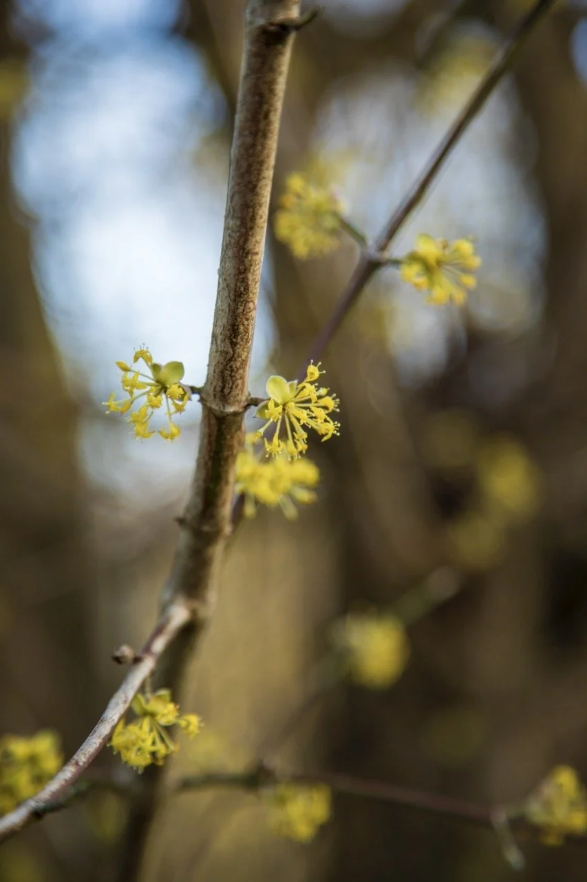 _09A0109 Grande.jpeg