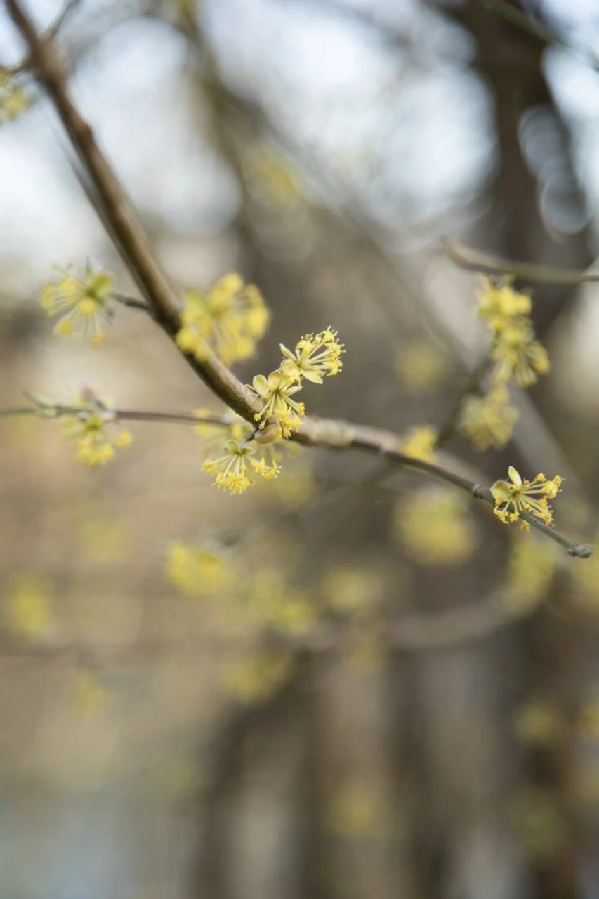 _09A0112 Grande.jpeg