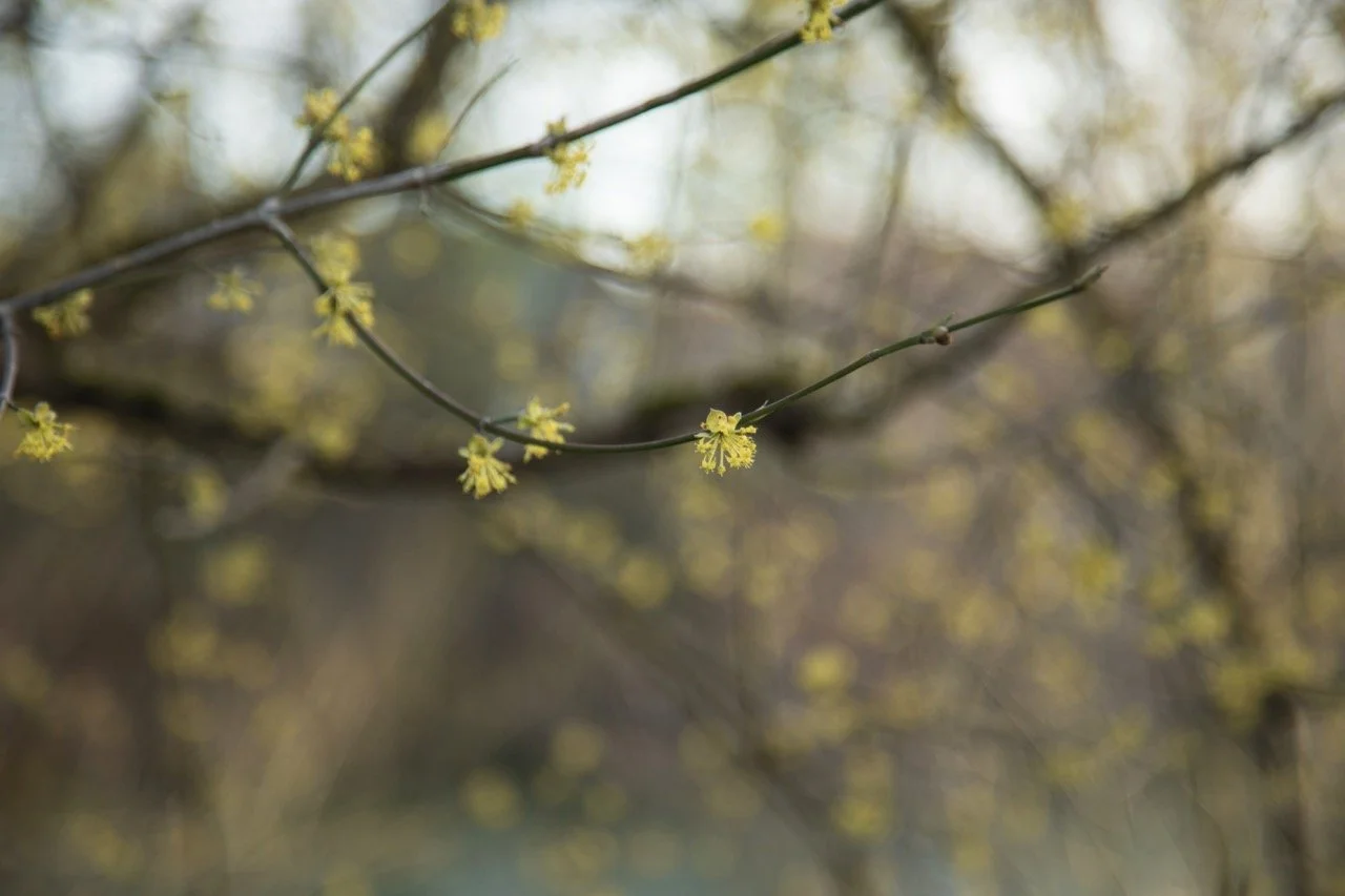 _09A0113 Grande.jpeg