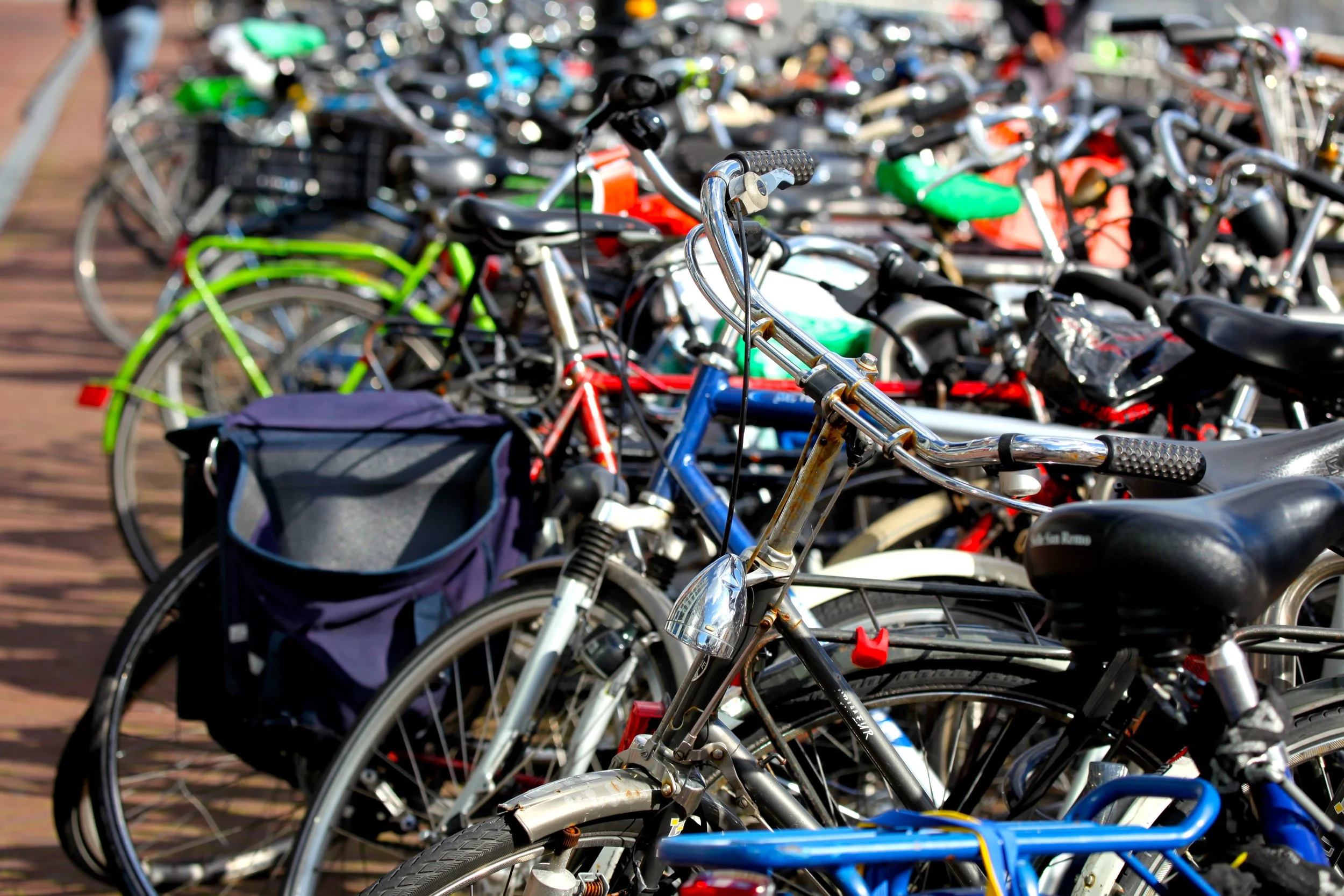 IMG_3315 - cópia.JPG