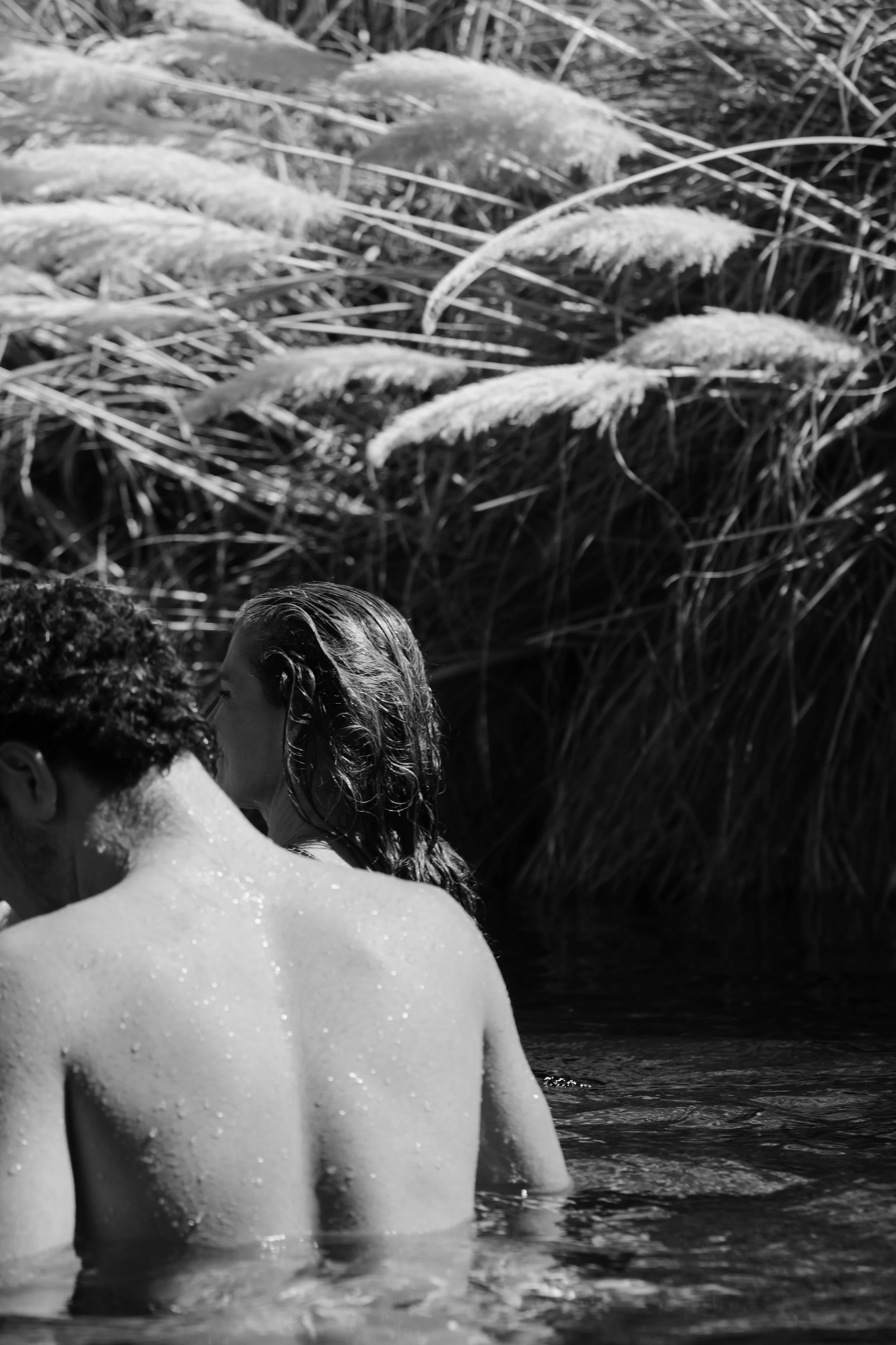 _MG_0196.jpg