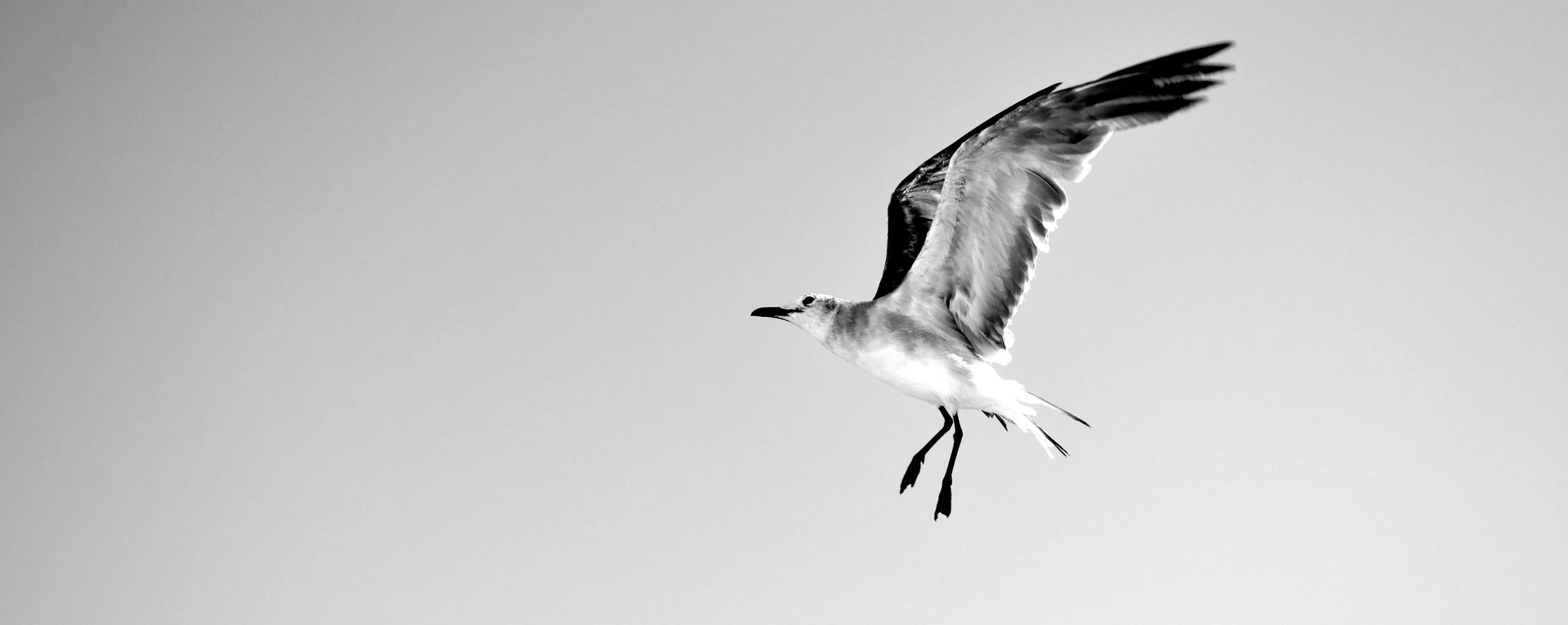 DSC_0568 - Versão 2 2.JPG