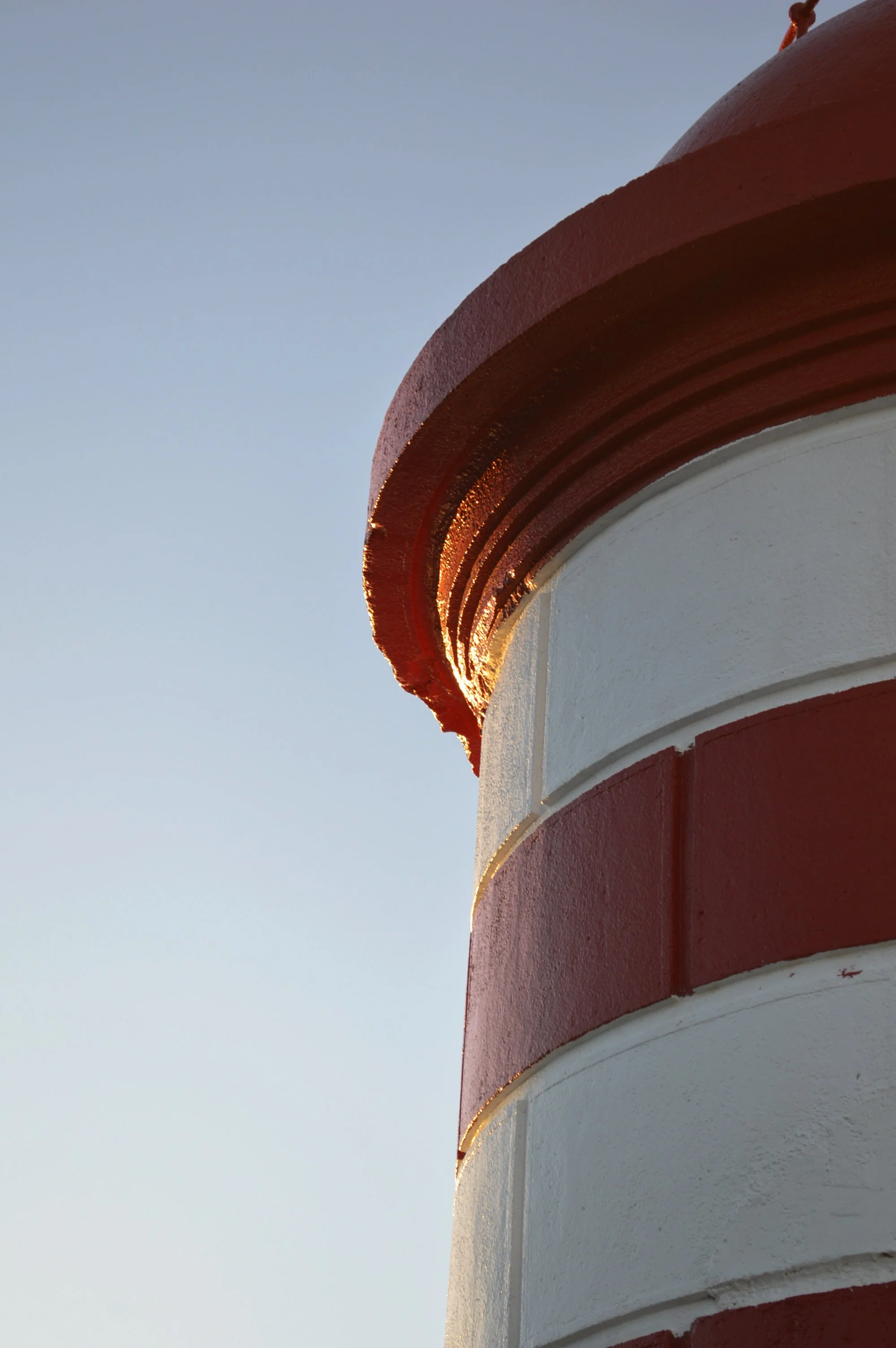 _DSC4176.JPG