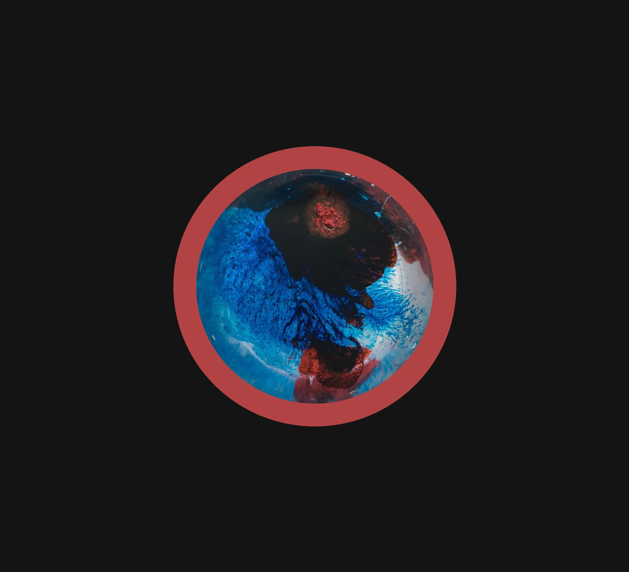 Website banner.jpg