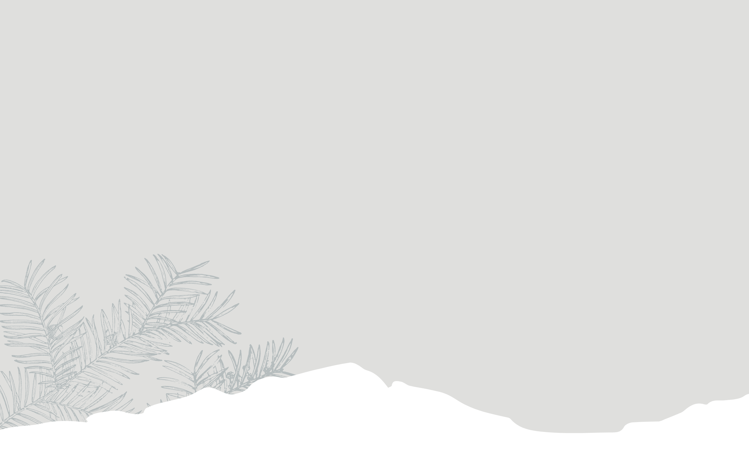 Business Strategy and Growth  (2).png