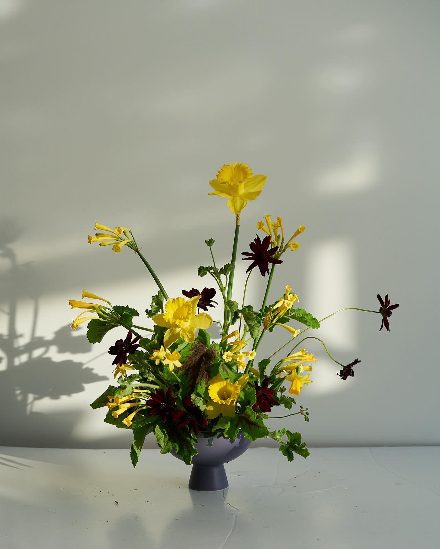 C55A6AFD-3D17-45CE-9746-3C58BC65174A.jpeg