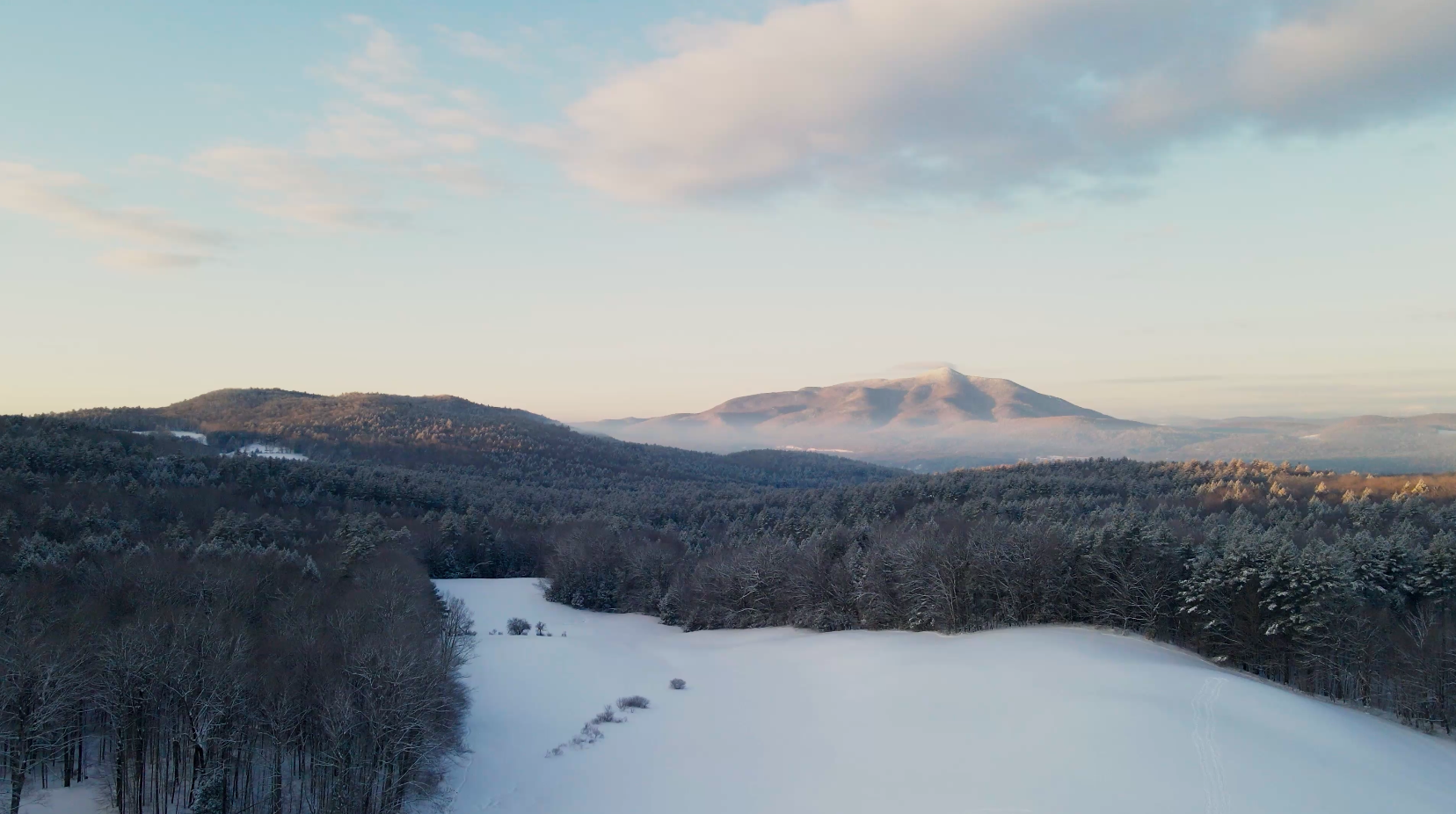 Screenshot 2026-03-11 at 2.49.18 PM.png