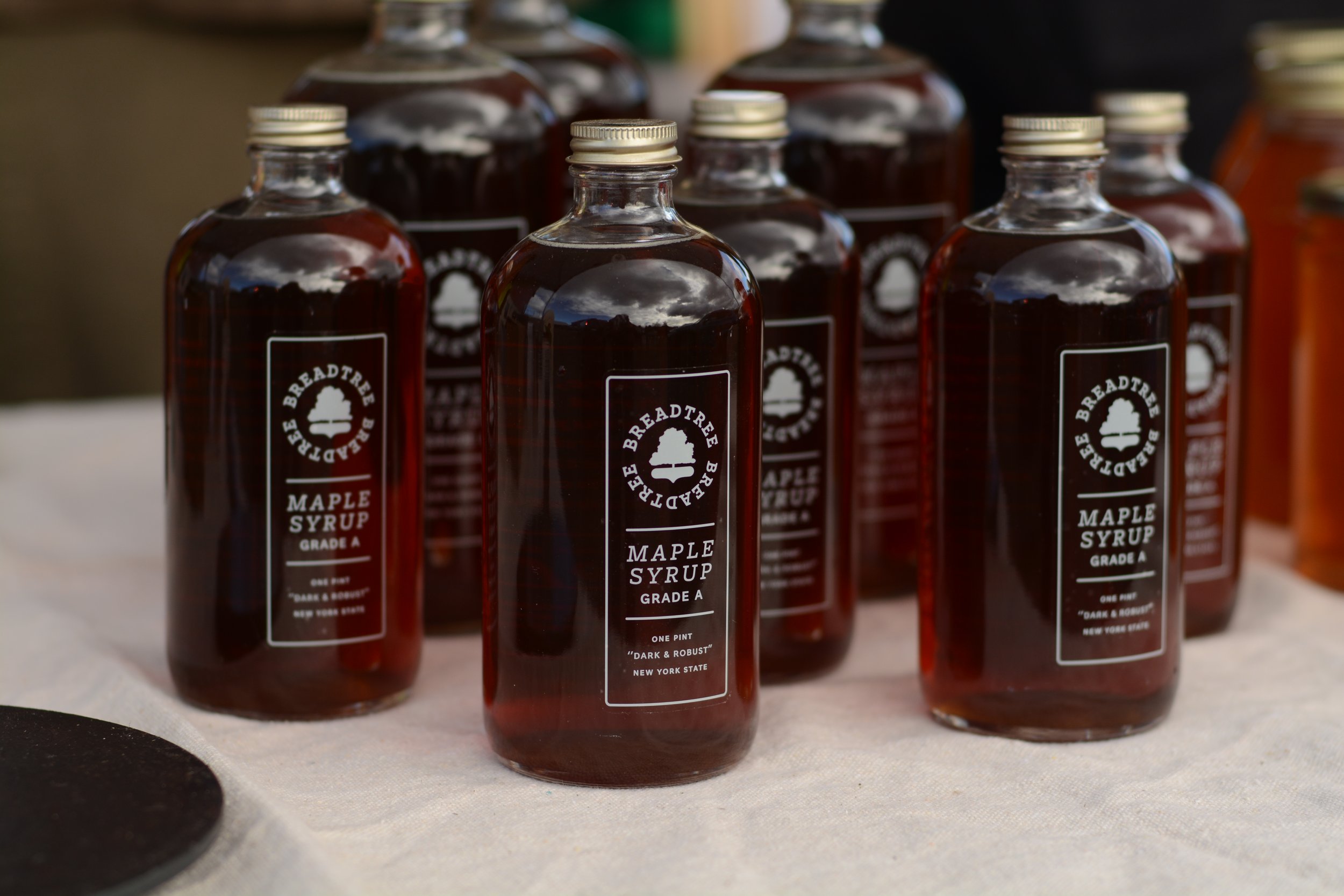 Maple Syrup From Organic Agroforestry Farm in Hudson Valley