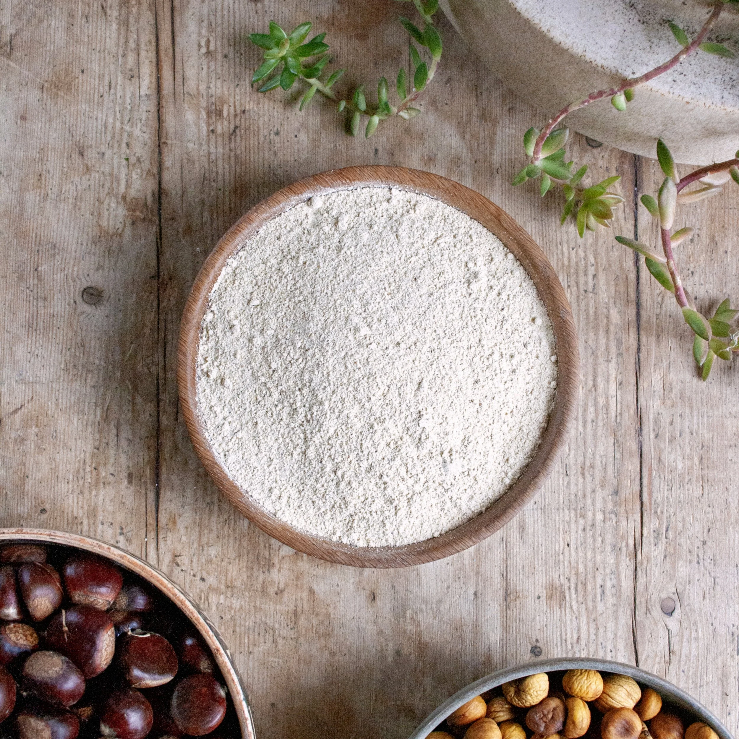 IMG_1327 rx square ektar.jpg