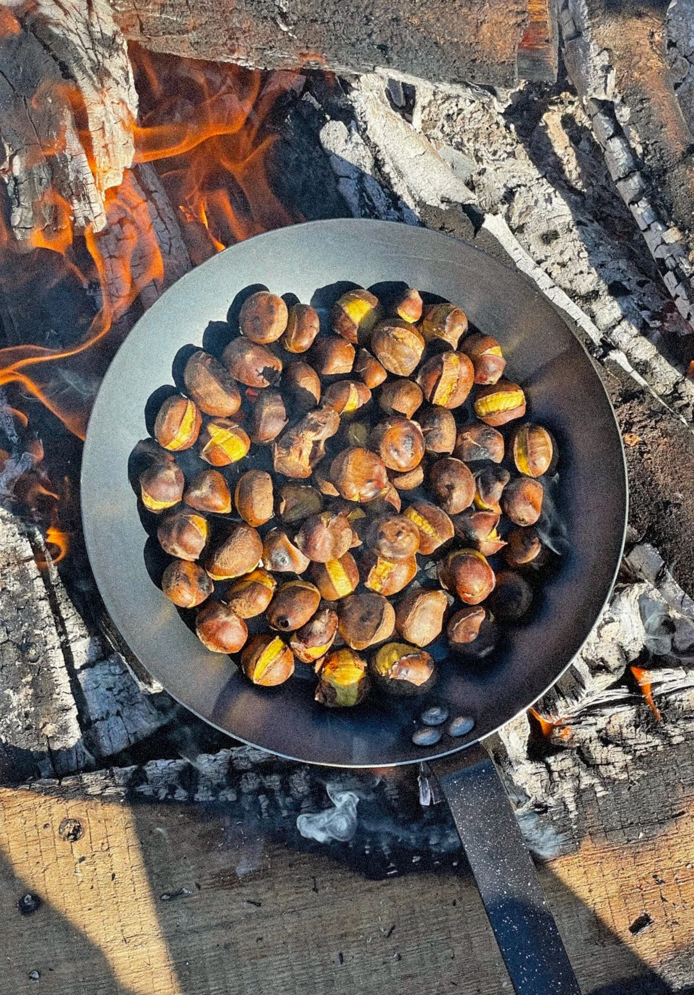 Storing & Cooking Chestnuts — Breadtree Farms