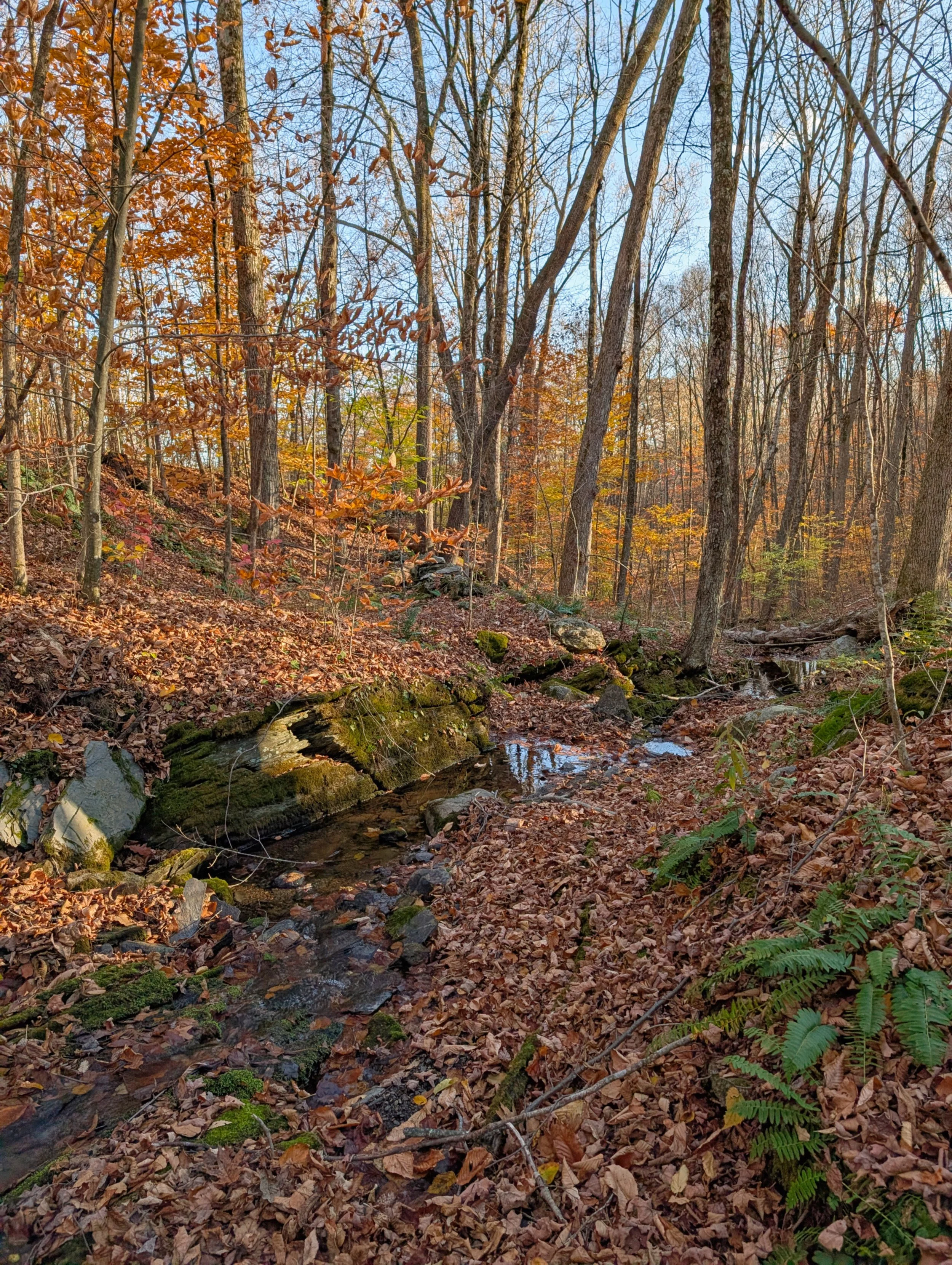 PXL_20251026_200745664 copy.jpg