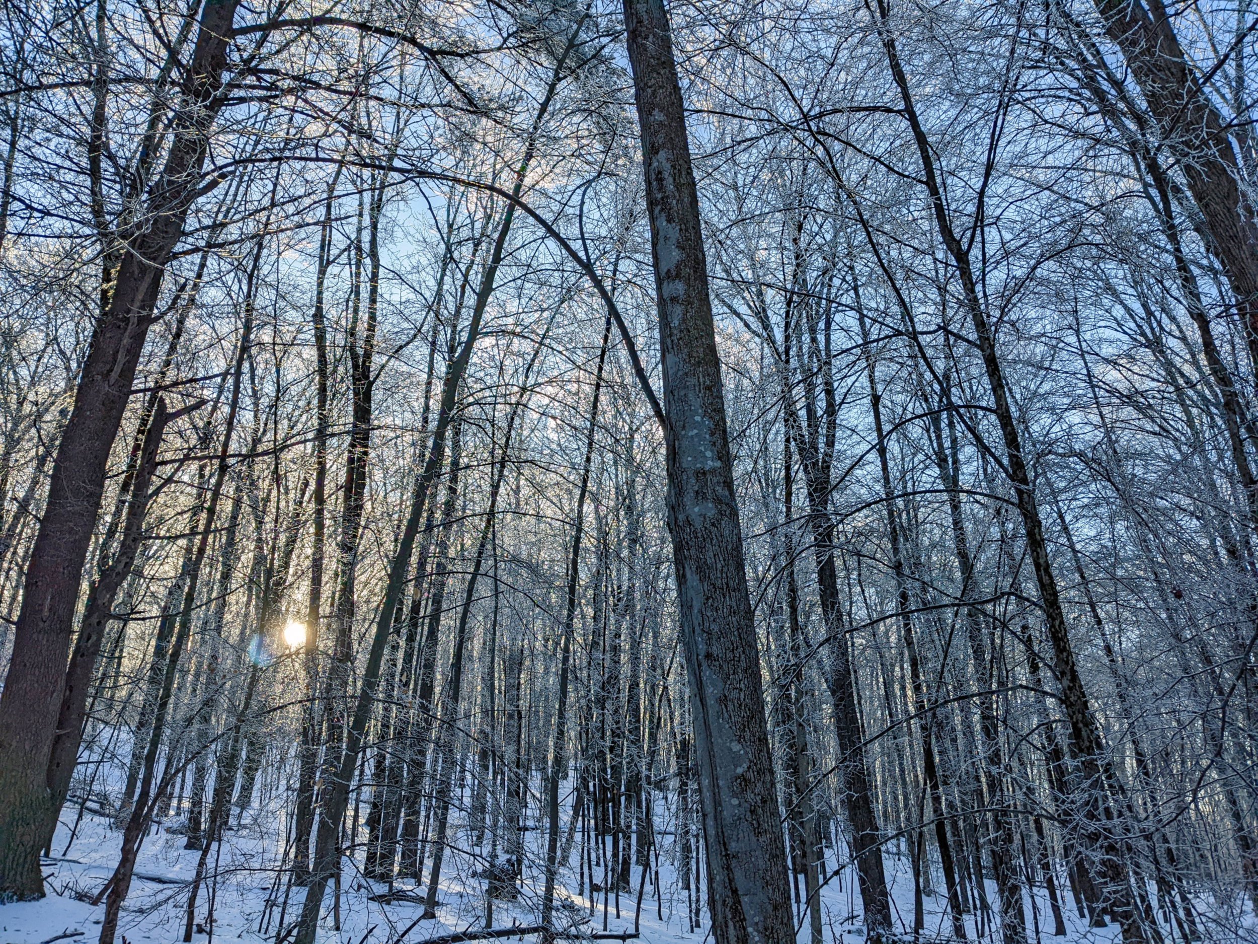 PXL_20220205_204904220 copy.jpg