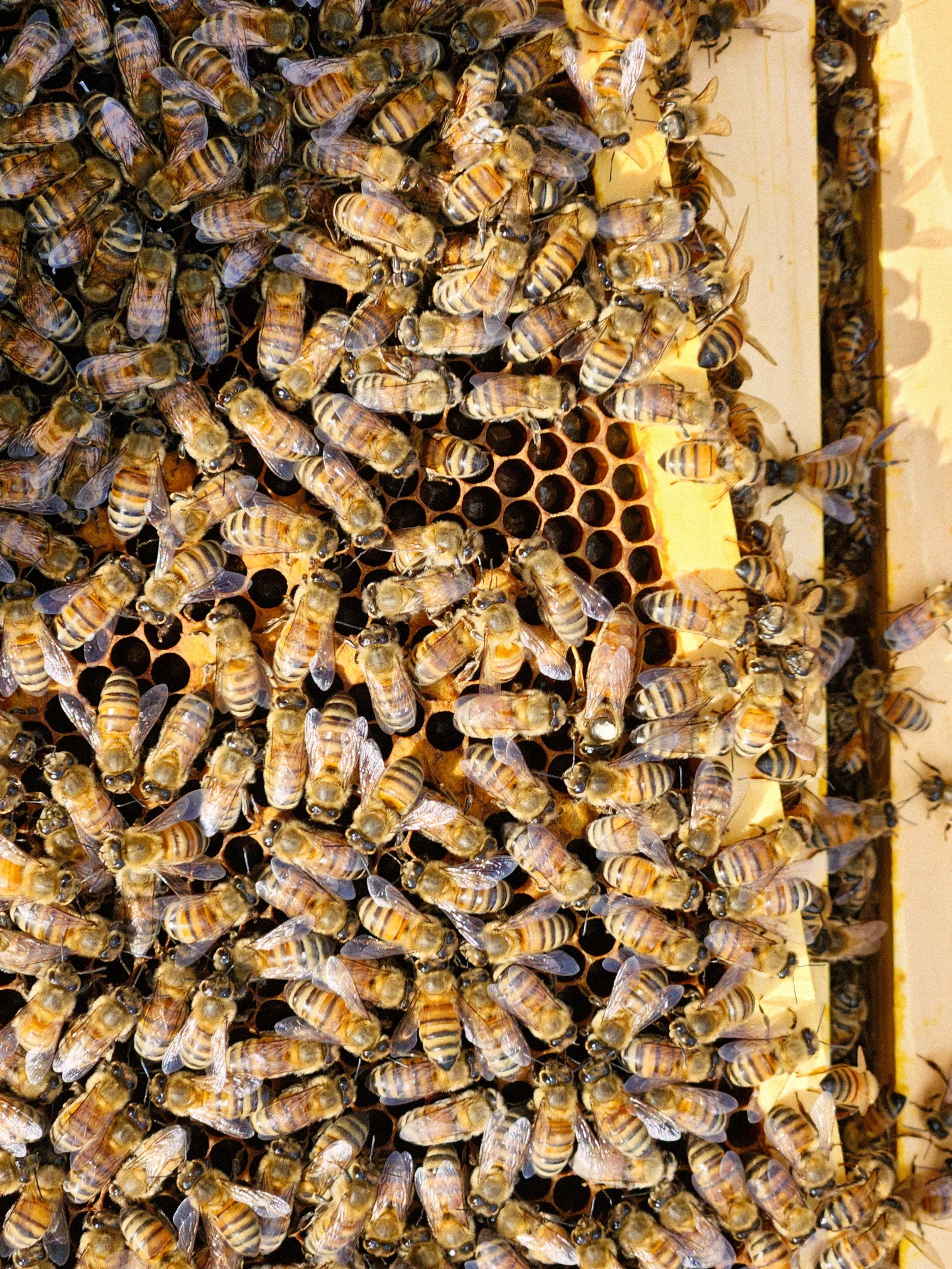 20231019_125739 ektar.jpg