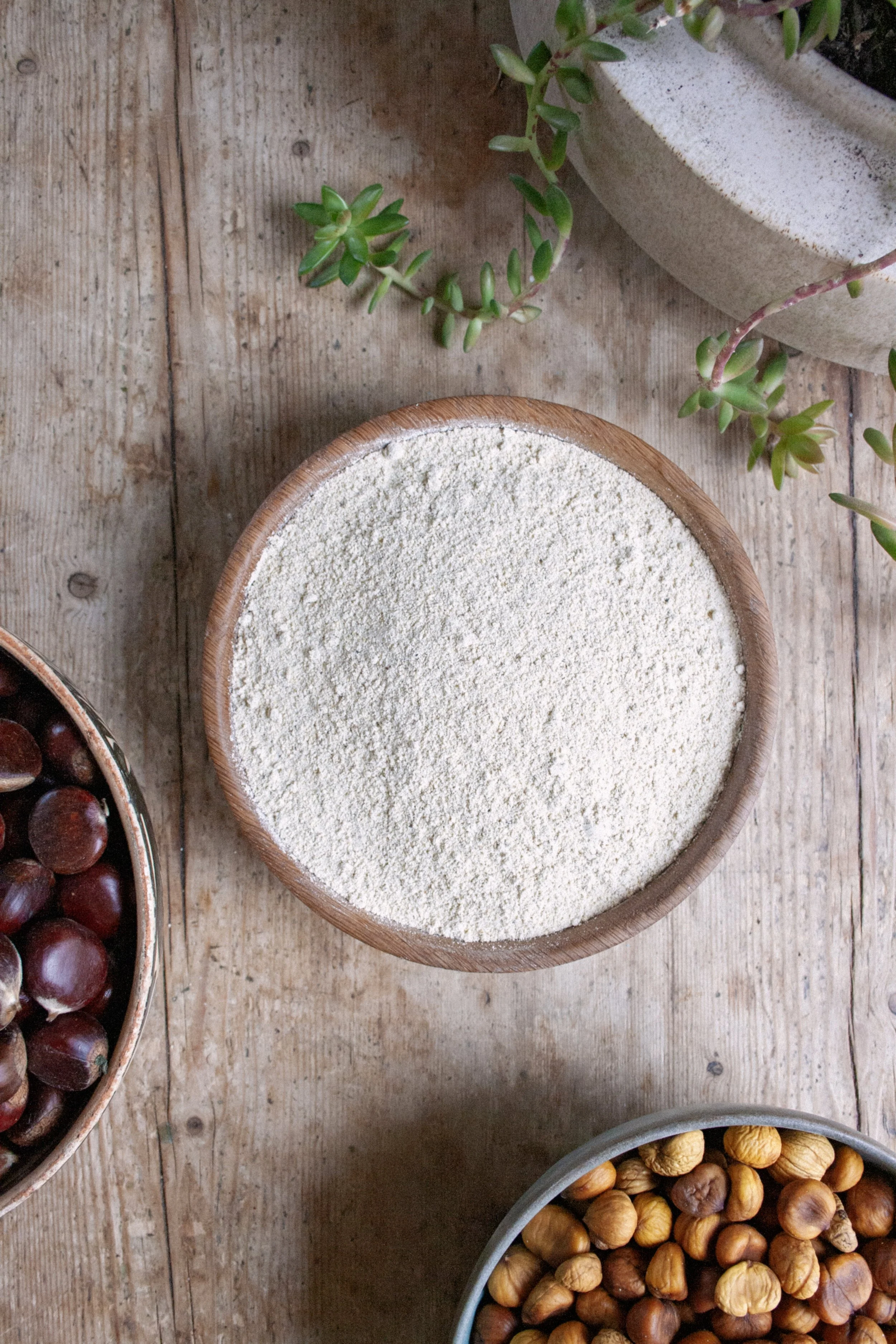 IMG_1332 rx crop ektar.jpg