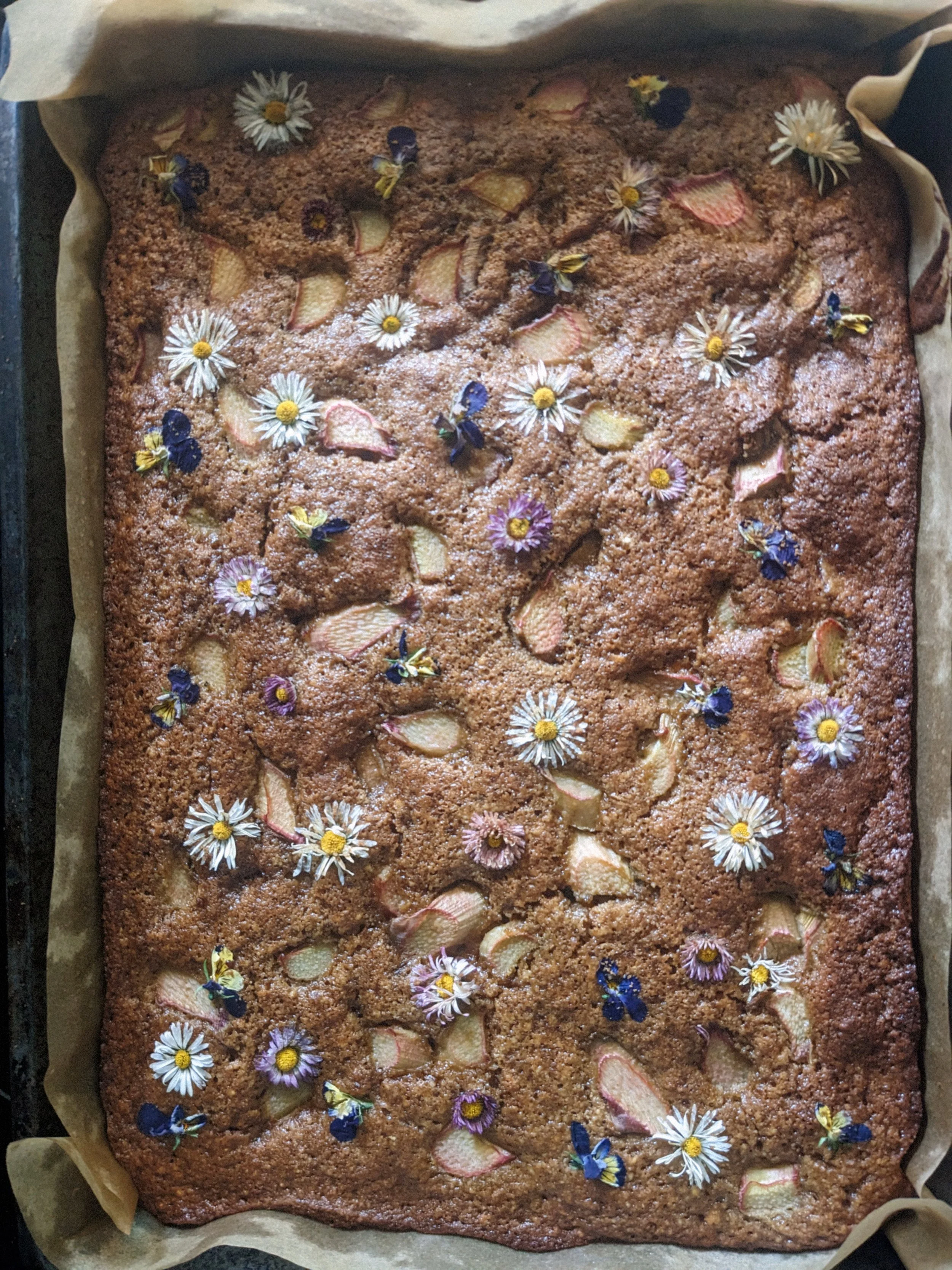 PXL_20240521_152920543 ektar.jpg