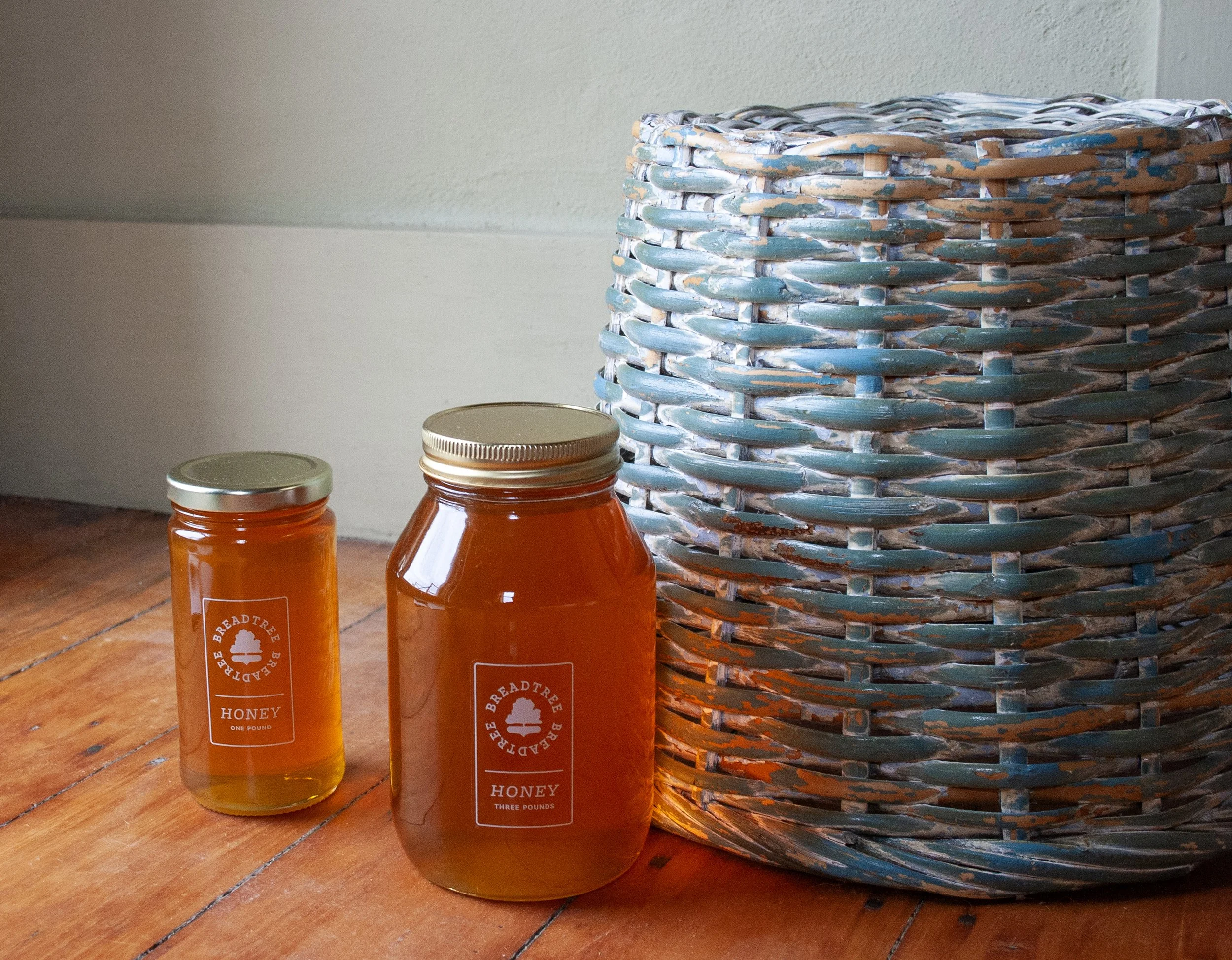 IMG_2378 portrait.jpg