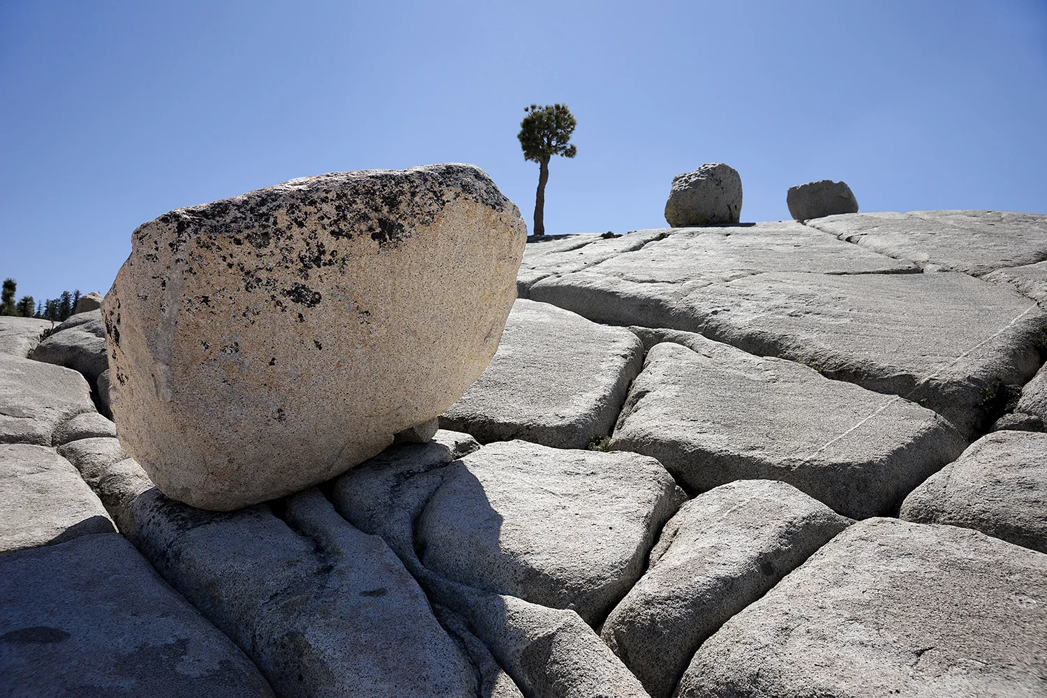 Yosemite Erratics