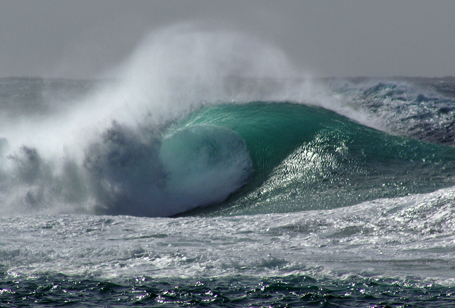 Surf's Up