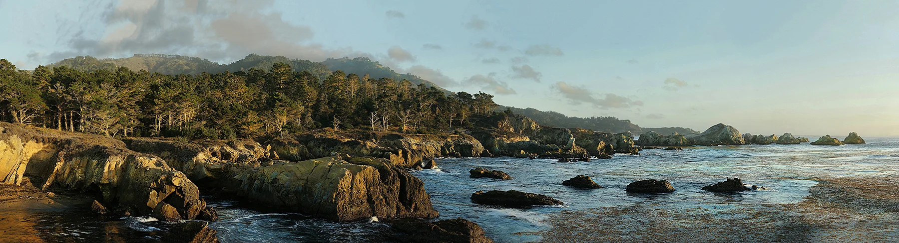 Point Lobos Panoramic