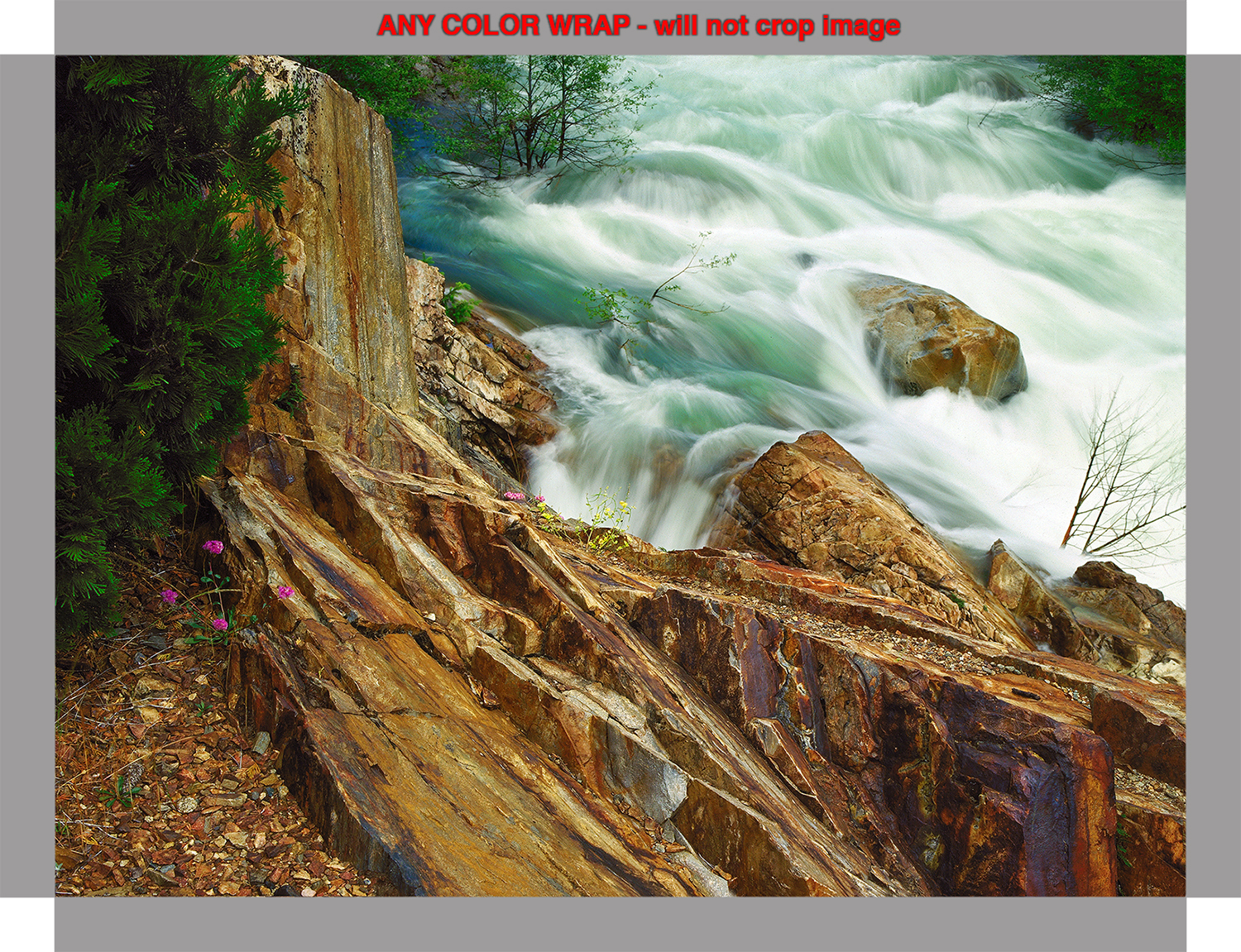 03_AnyColorWrap copy.jpg