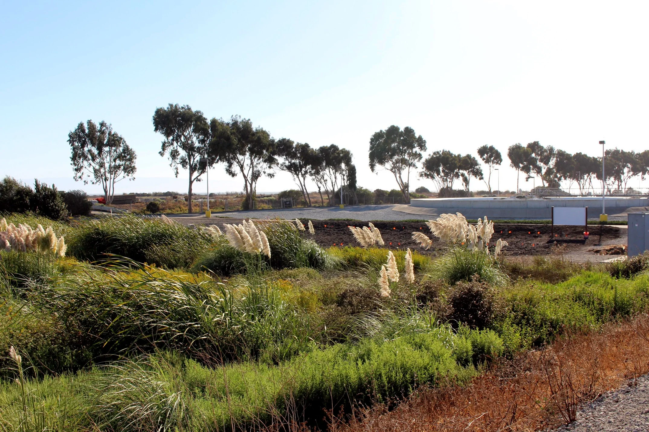 Levee 2 copy.jpg
