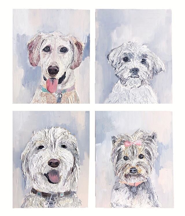 My most recent pet portraits in honor of my goldendoods first birthday this past week 🎊🤩.
Swipe to see some goodies of the many faces of Archie🐶
&mdash;&mdash;&mdash;&mdash;&mdash;&mdash;&mdash;&mdash;&mdash;&mdash;&mdash;&mdash;&mdash;&mdash;&mda