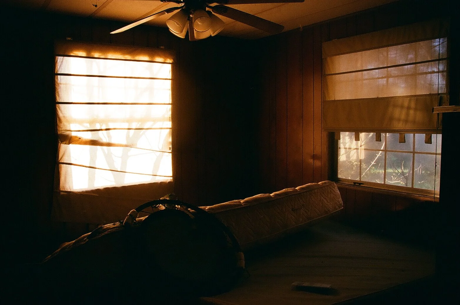 Film2.jpg