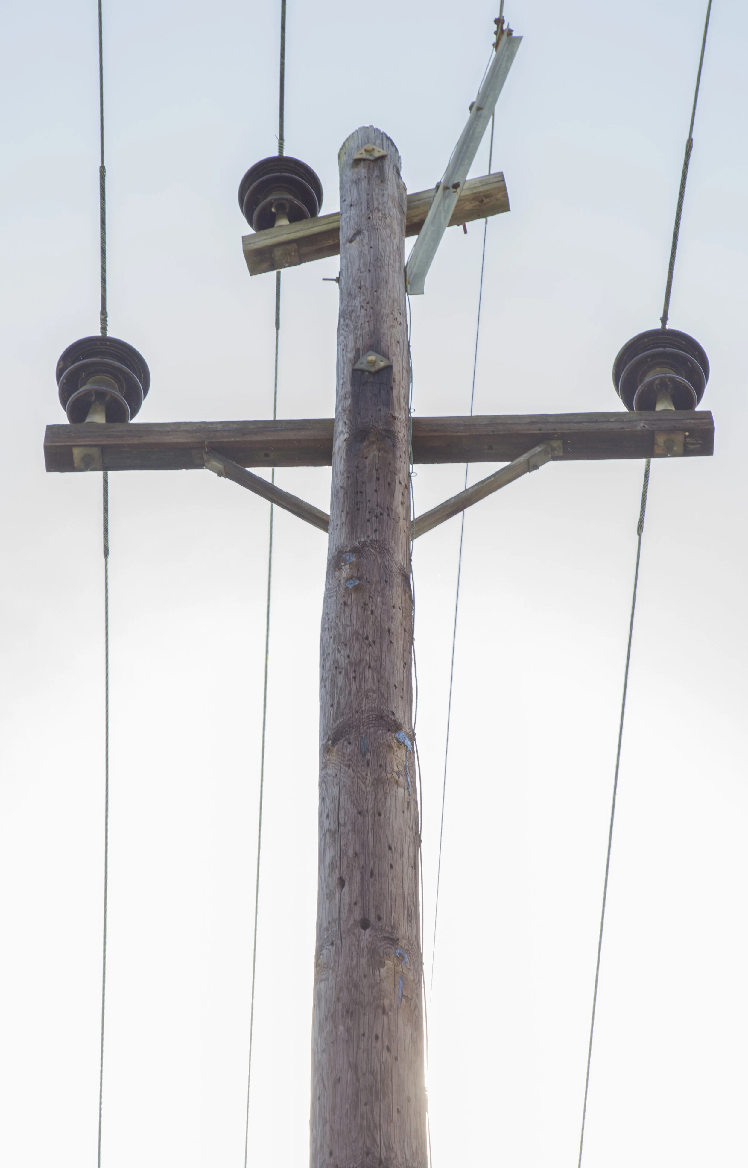 Telephone.jpg