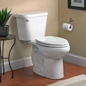 Toilet Sponsor
