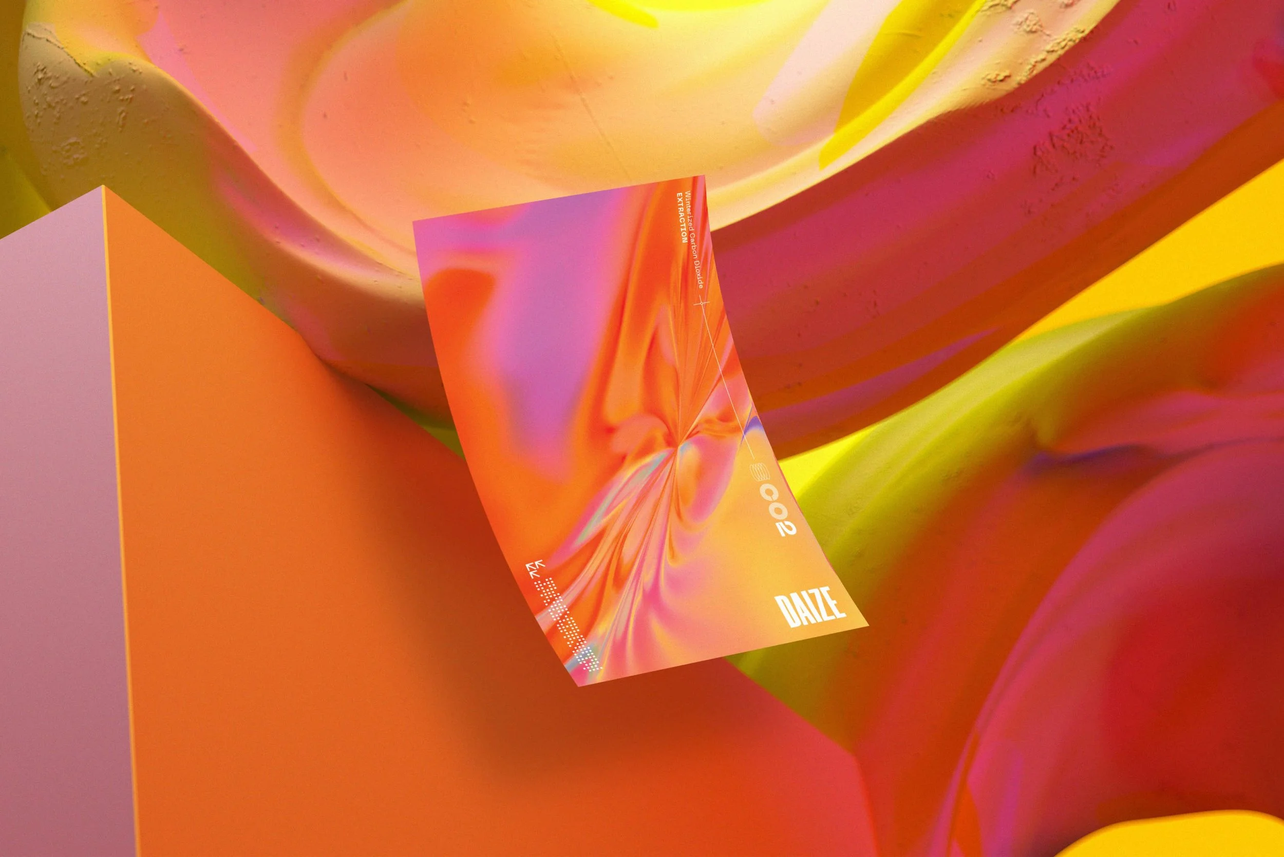 daize-4.jpg