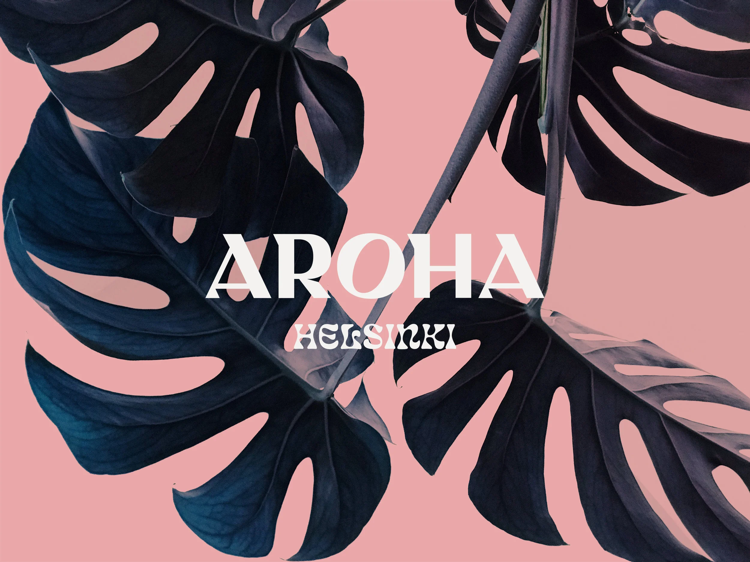 aroha-kuva.jpg