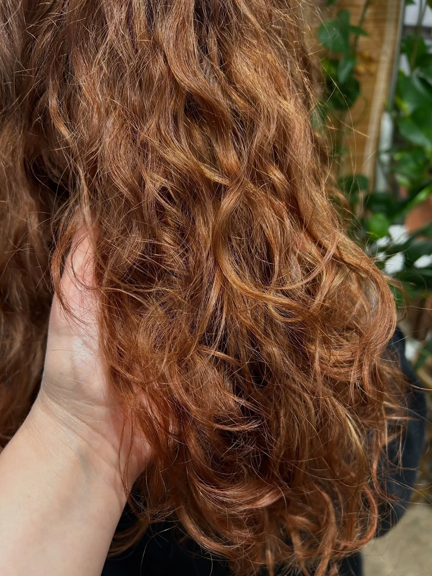 Mik&auml; ihana muodonmuutos: v&auml;ri&auml; pimeyteen ja kiharalle aktivointia🤗

By: Laura @arohanlaura 

Muutama suosikkituote kiharille hiuksille
&bull; Kevin.Murphy: Killer curls
&bull; Davines: Love curl shampoo ja conditioner
&bull; Authentic