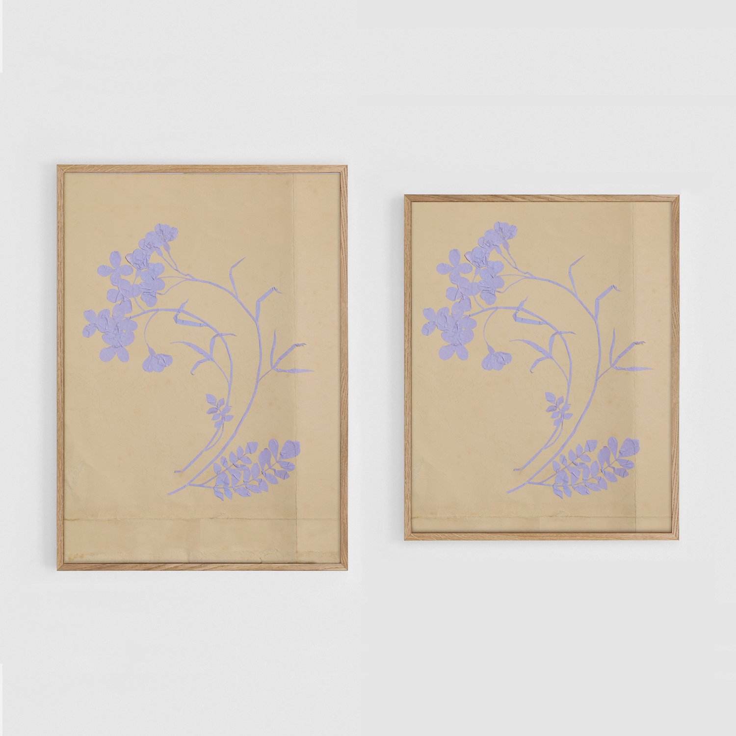 Cuckoo_Flower_A3+11x17_Frames.jpg