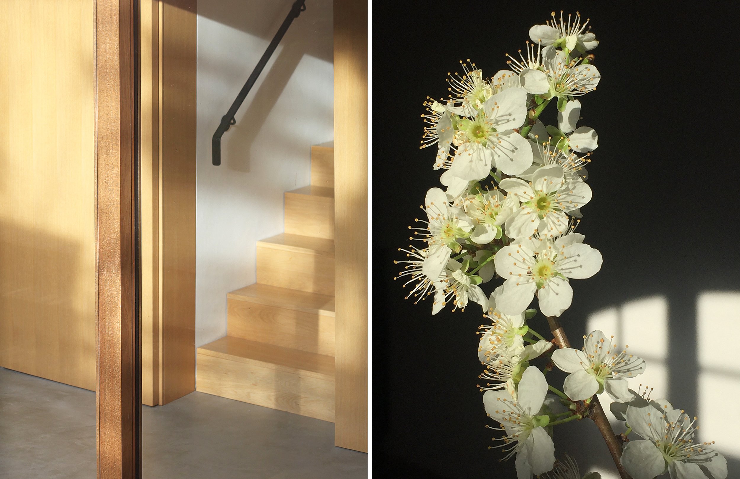 Home_Spring_Stairs_Blossom_EH.jpg