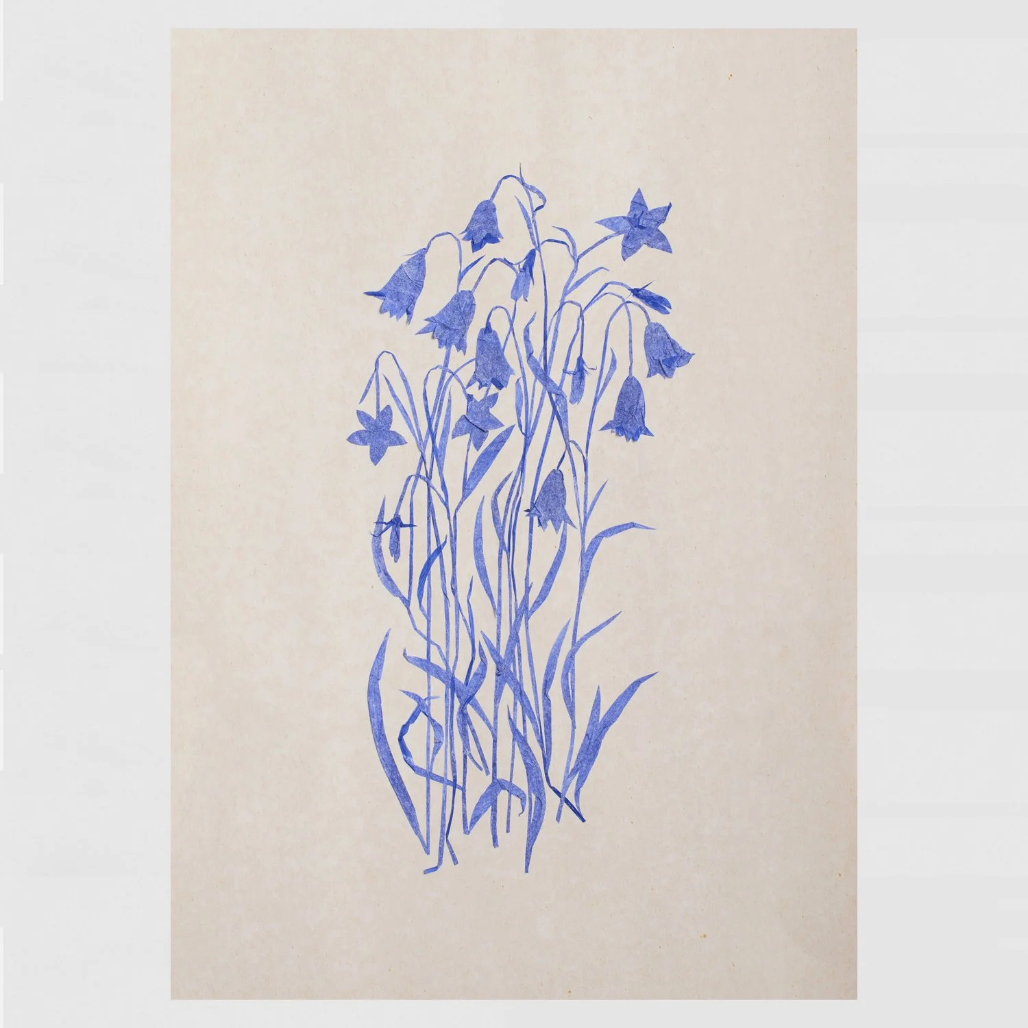 Harebell_Single.jpg