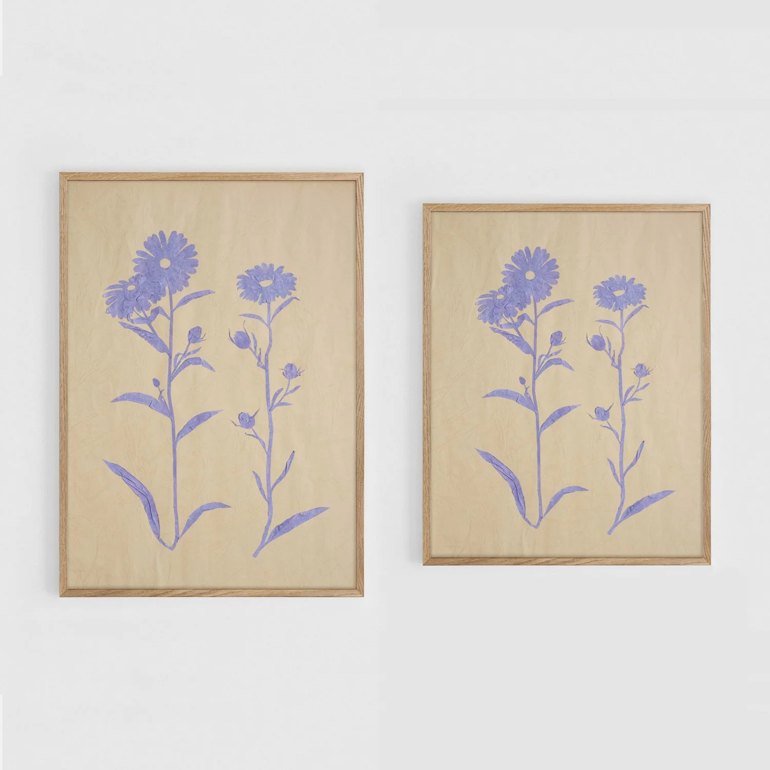 Asters_A3+11x17_Frames.jpg