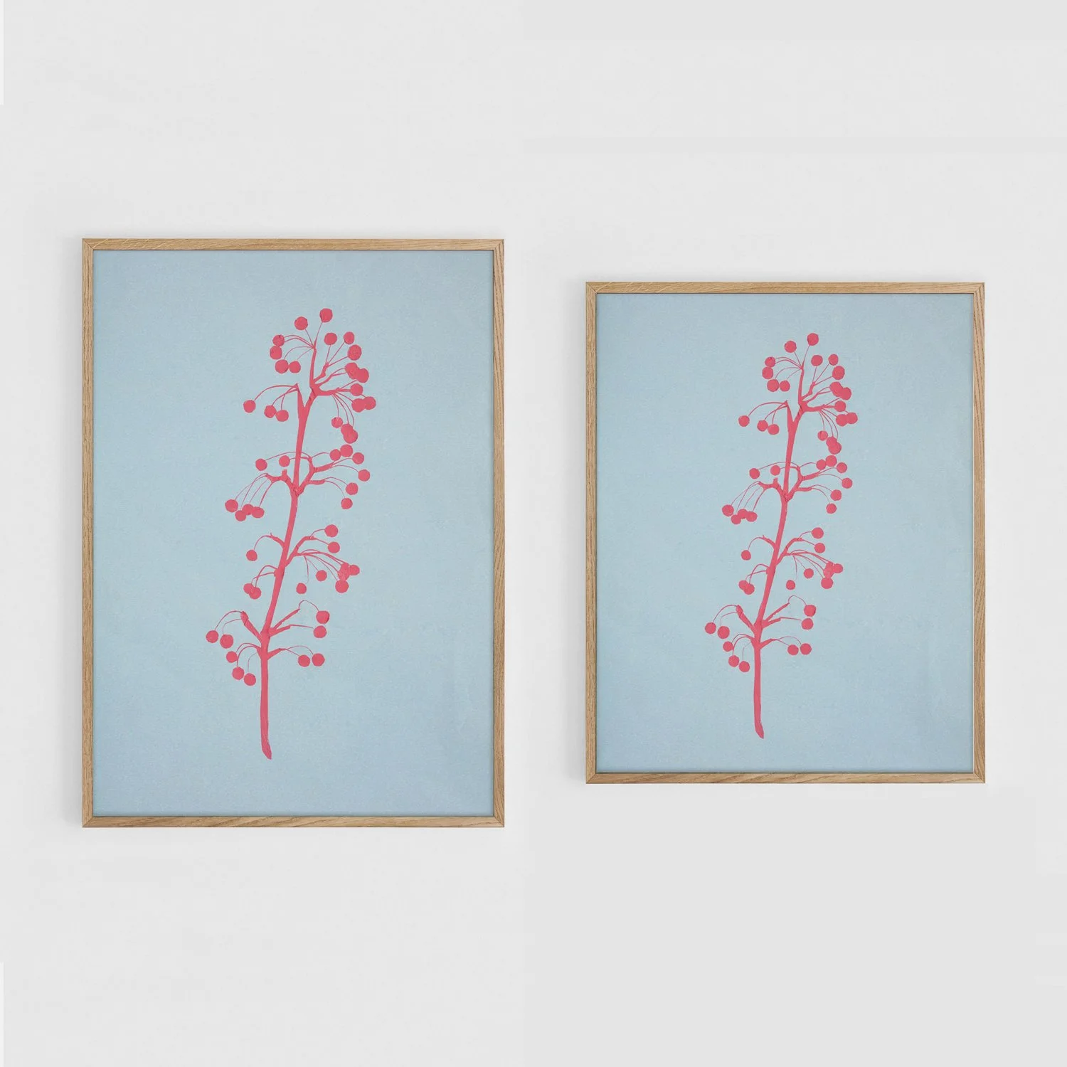 Sorbus_A3+11x17_Frames.jpg