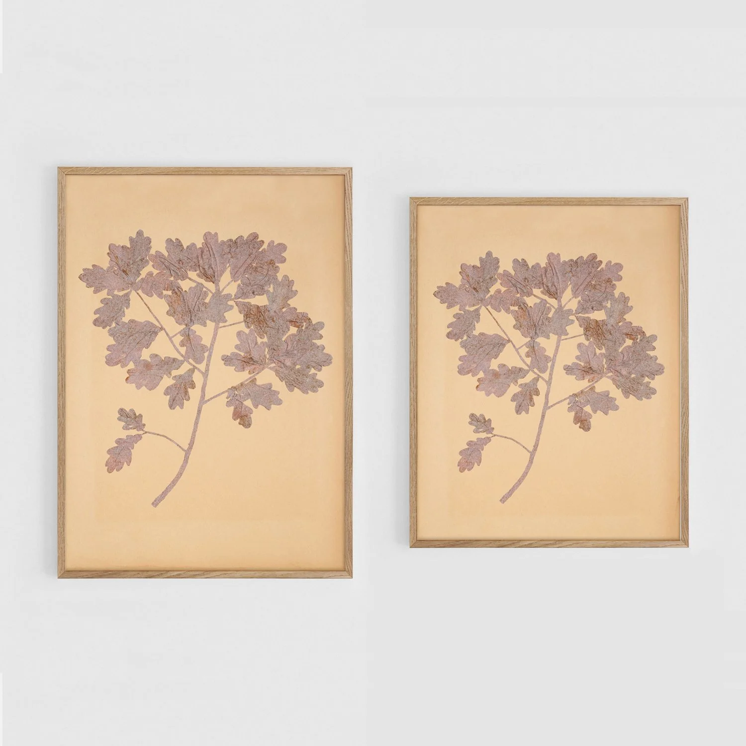 Oak_A3+11x17_Frames.jpg
