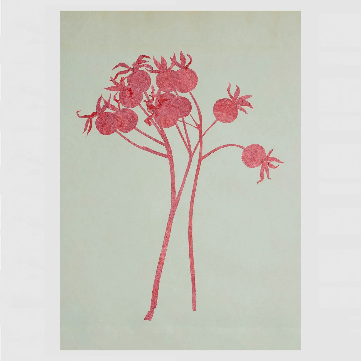 Rosehips_A:W_Single.jpg