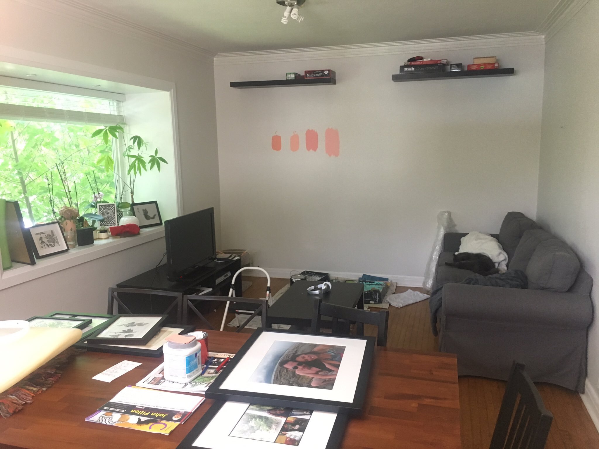Home Improvement with Rob