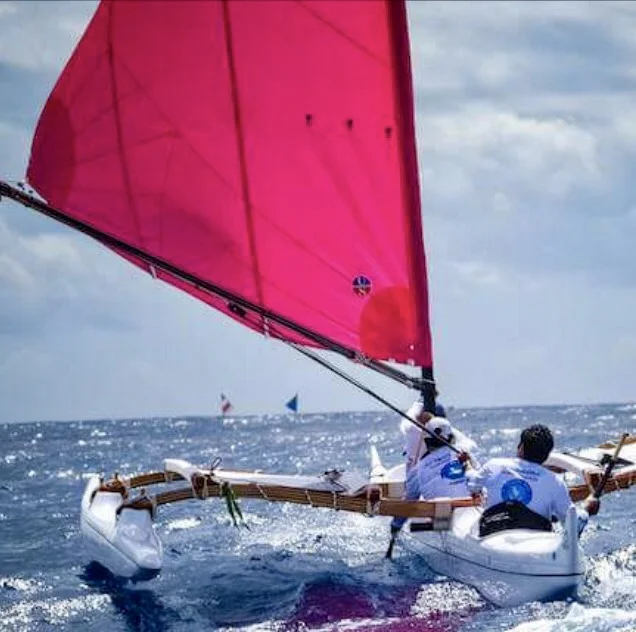 Holopuni Quick Rig (Racing Class) Sail