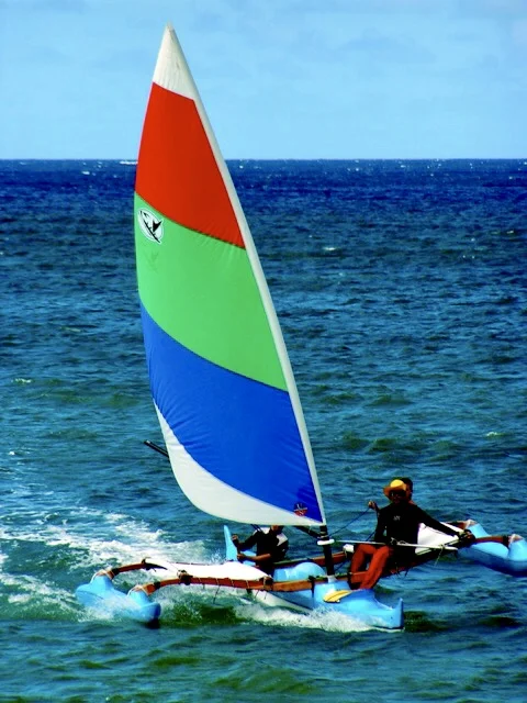 Holopuni Quick Rig (Racing Class) Sail