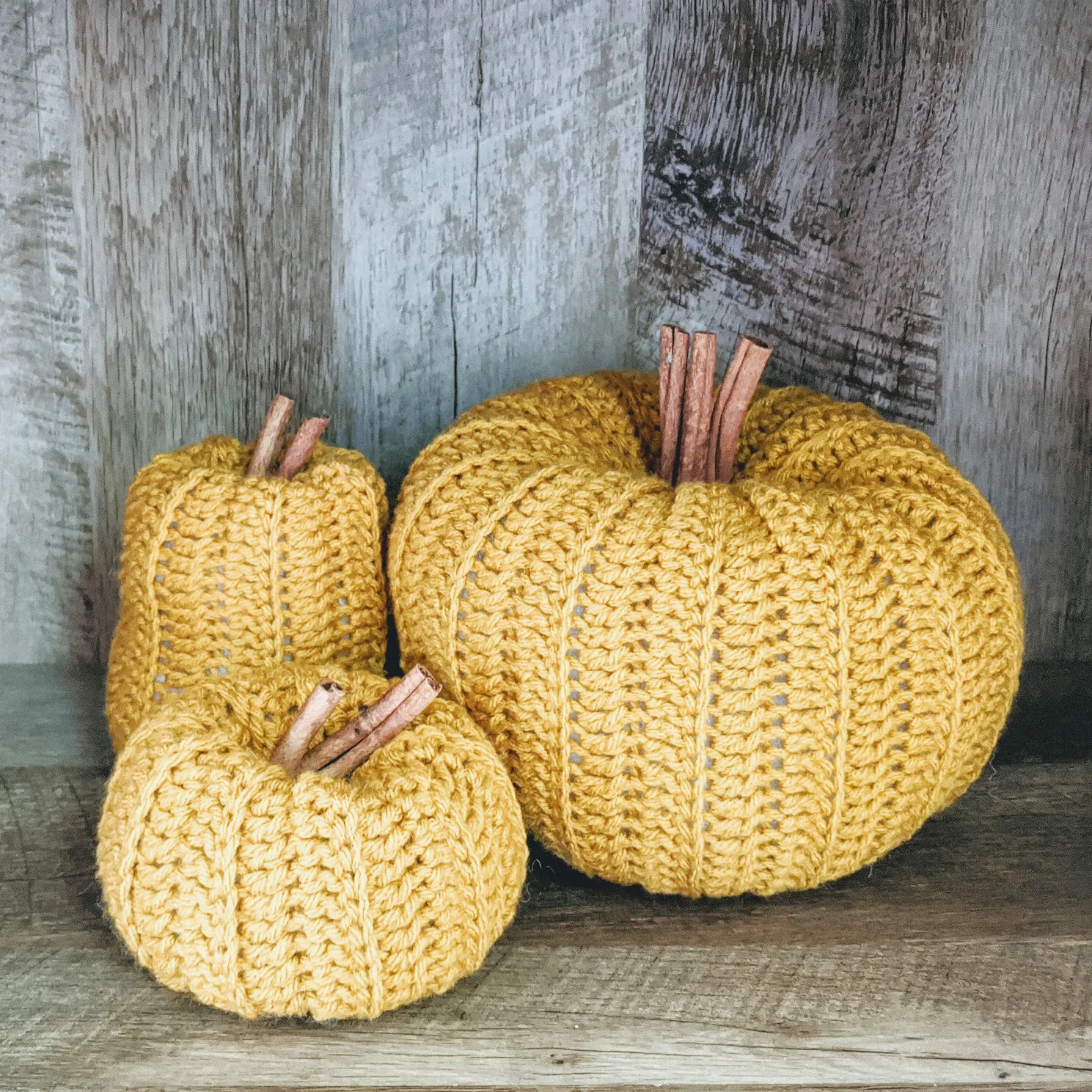 Pumpkin8-2.jpg