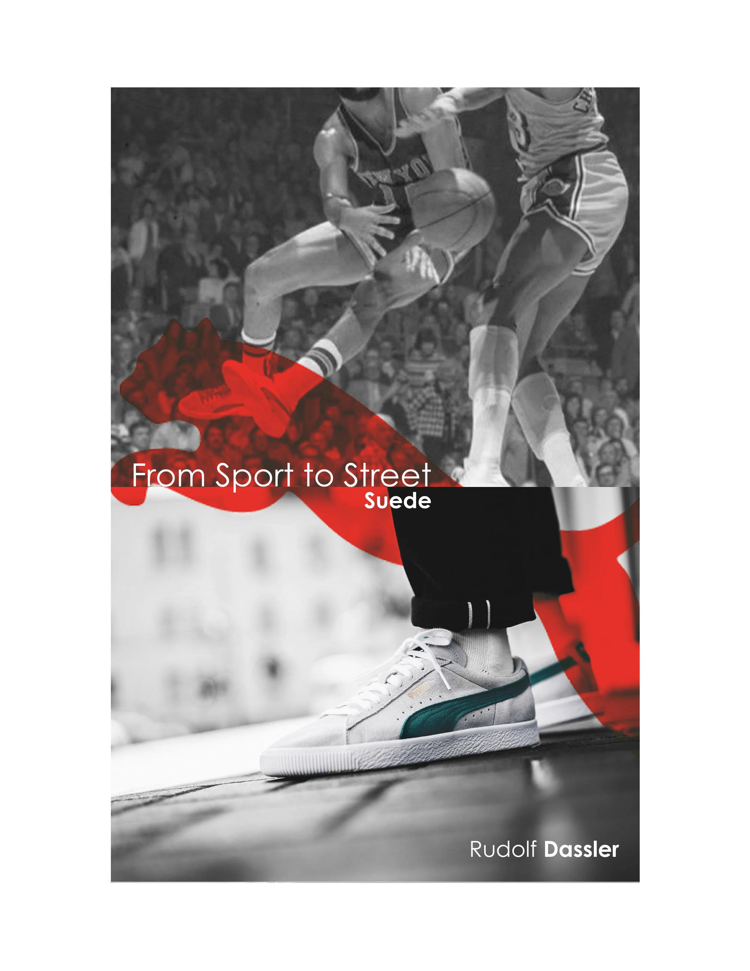 puma2.jpg