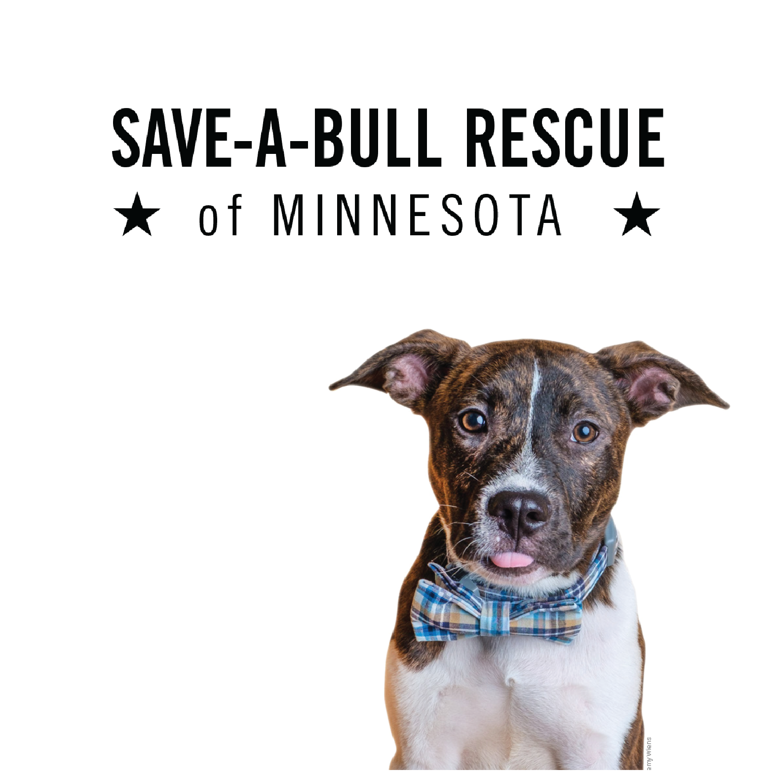 Save A Bull Rescue-05.png