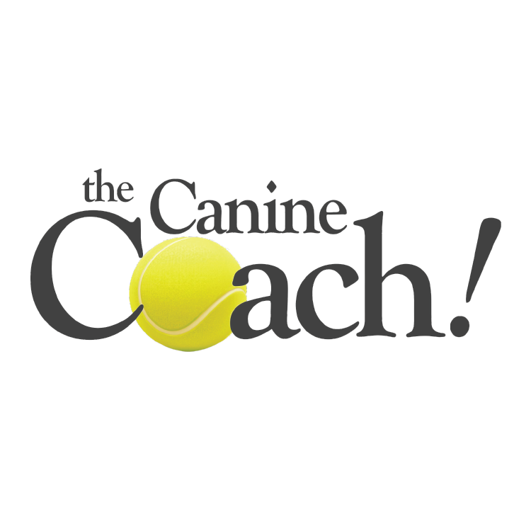 LHWoofstock | the Canine Coach