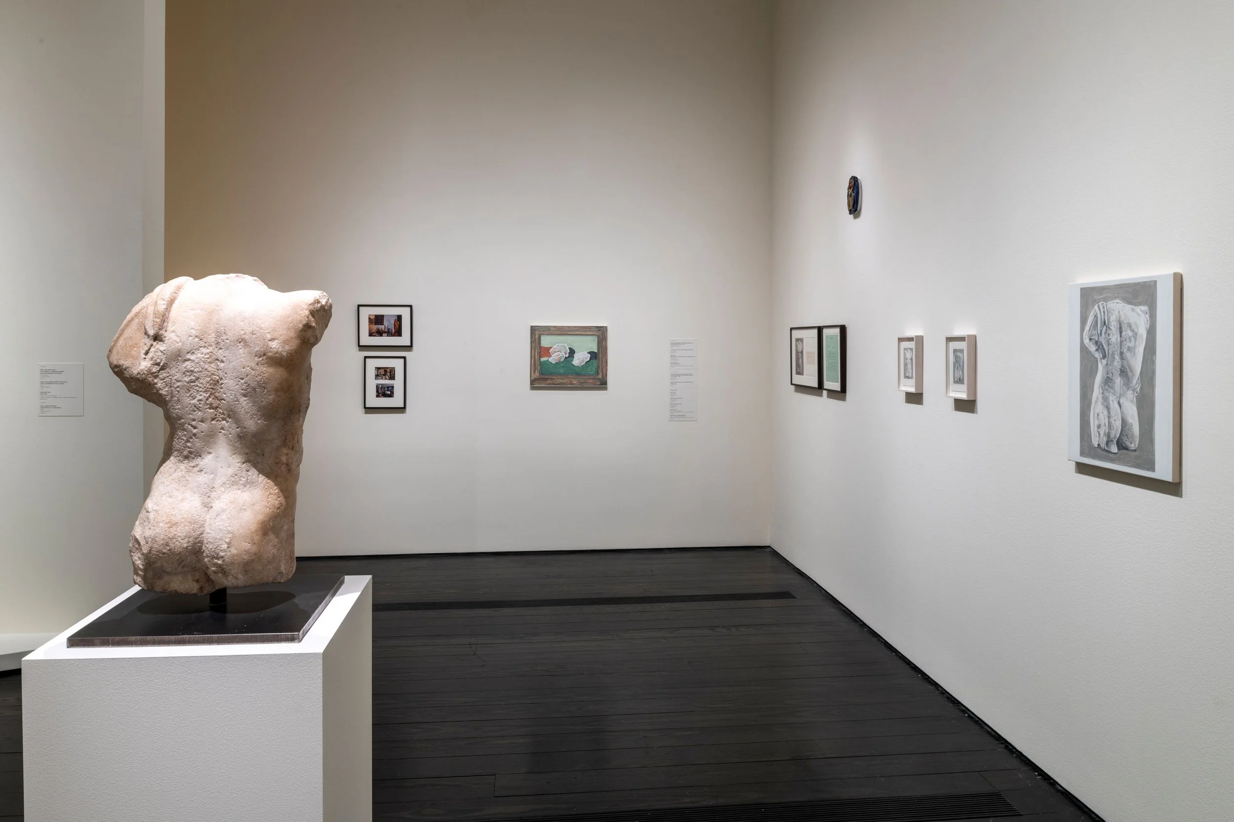 Menil Installation View 6, 2025