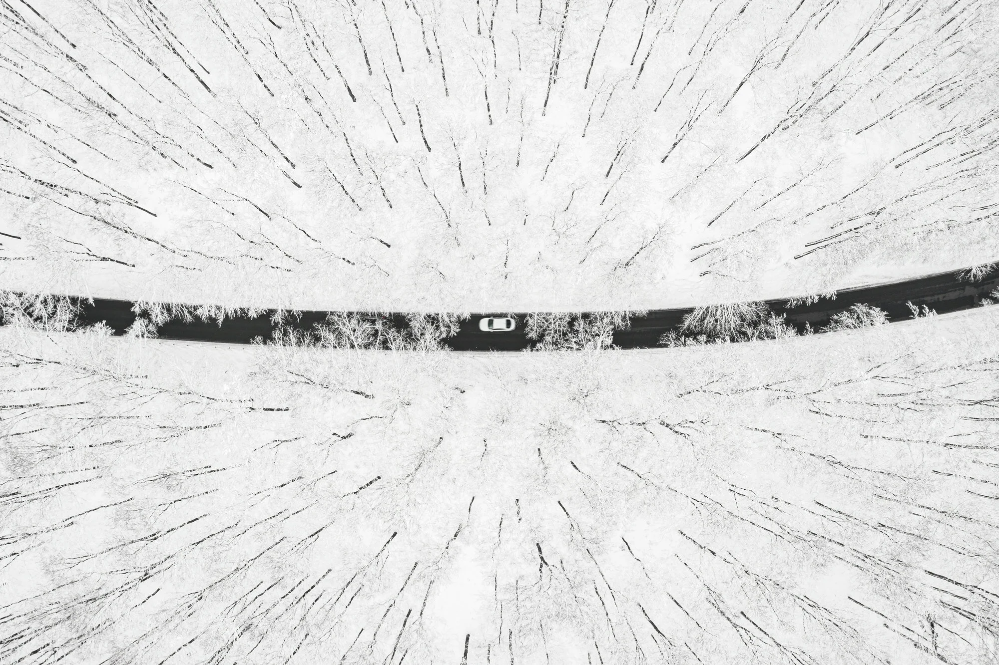 winter roads series II