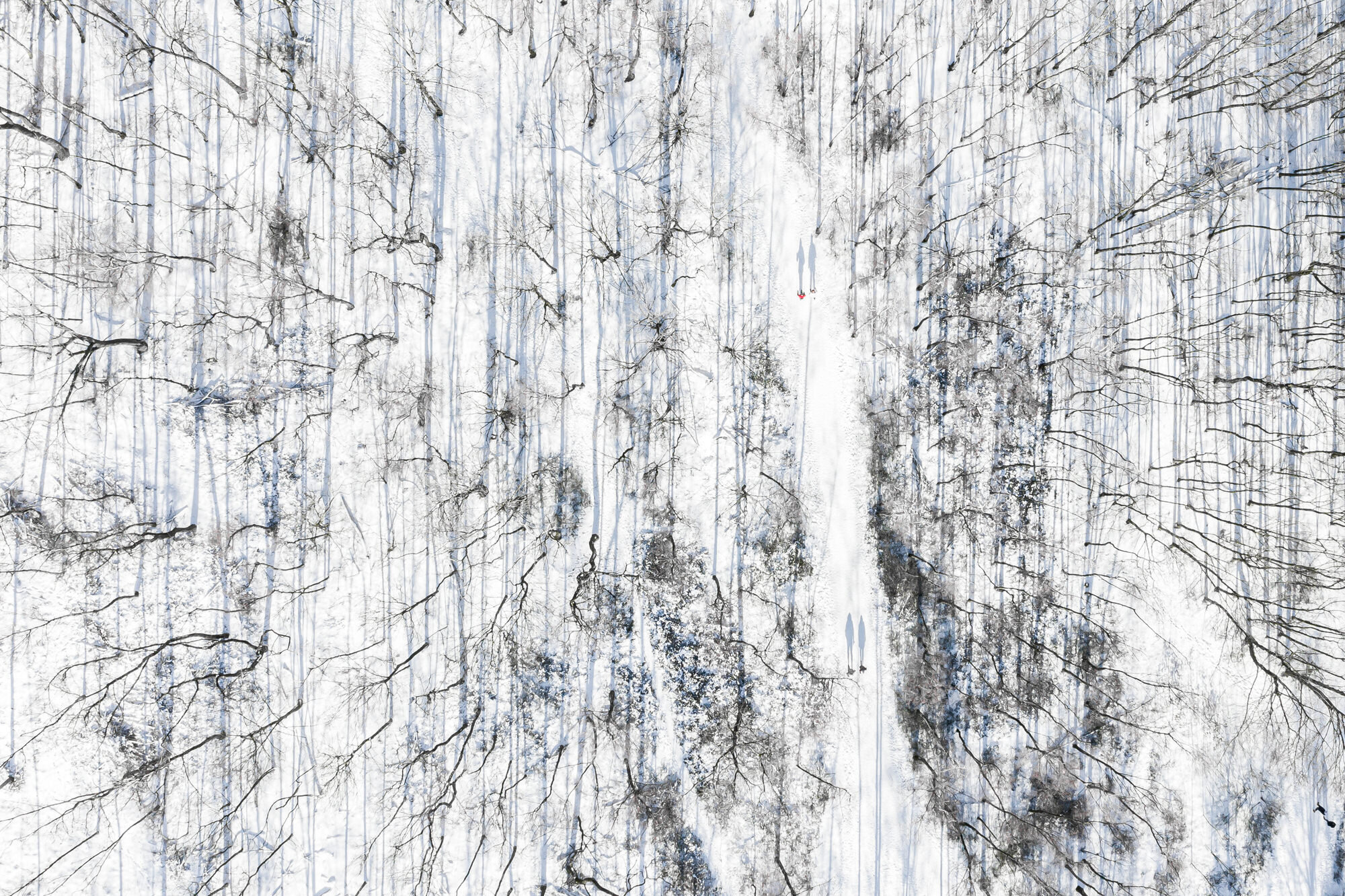 winter roads series IV